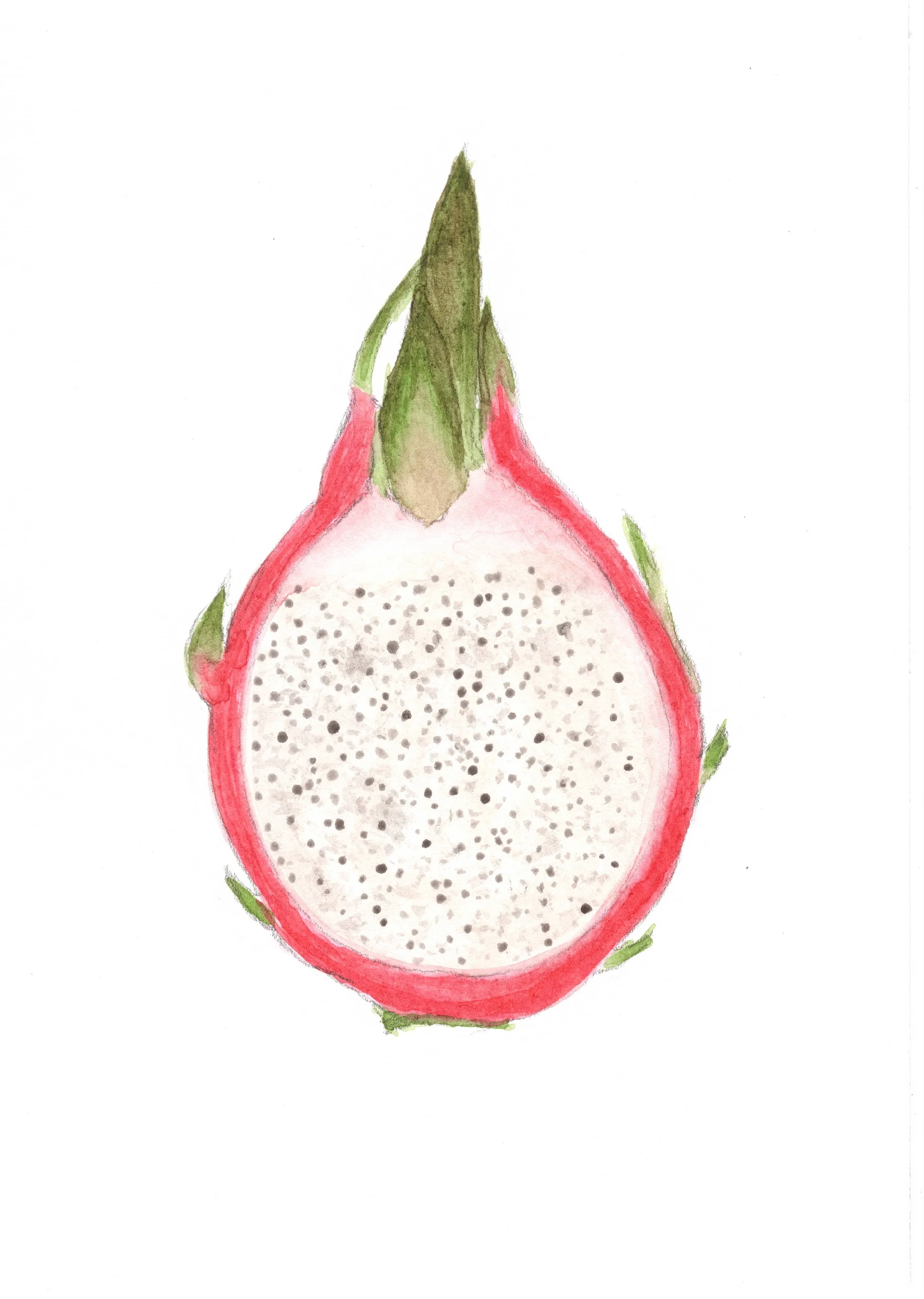 Dragonfruit_slice.jpeg