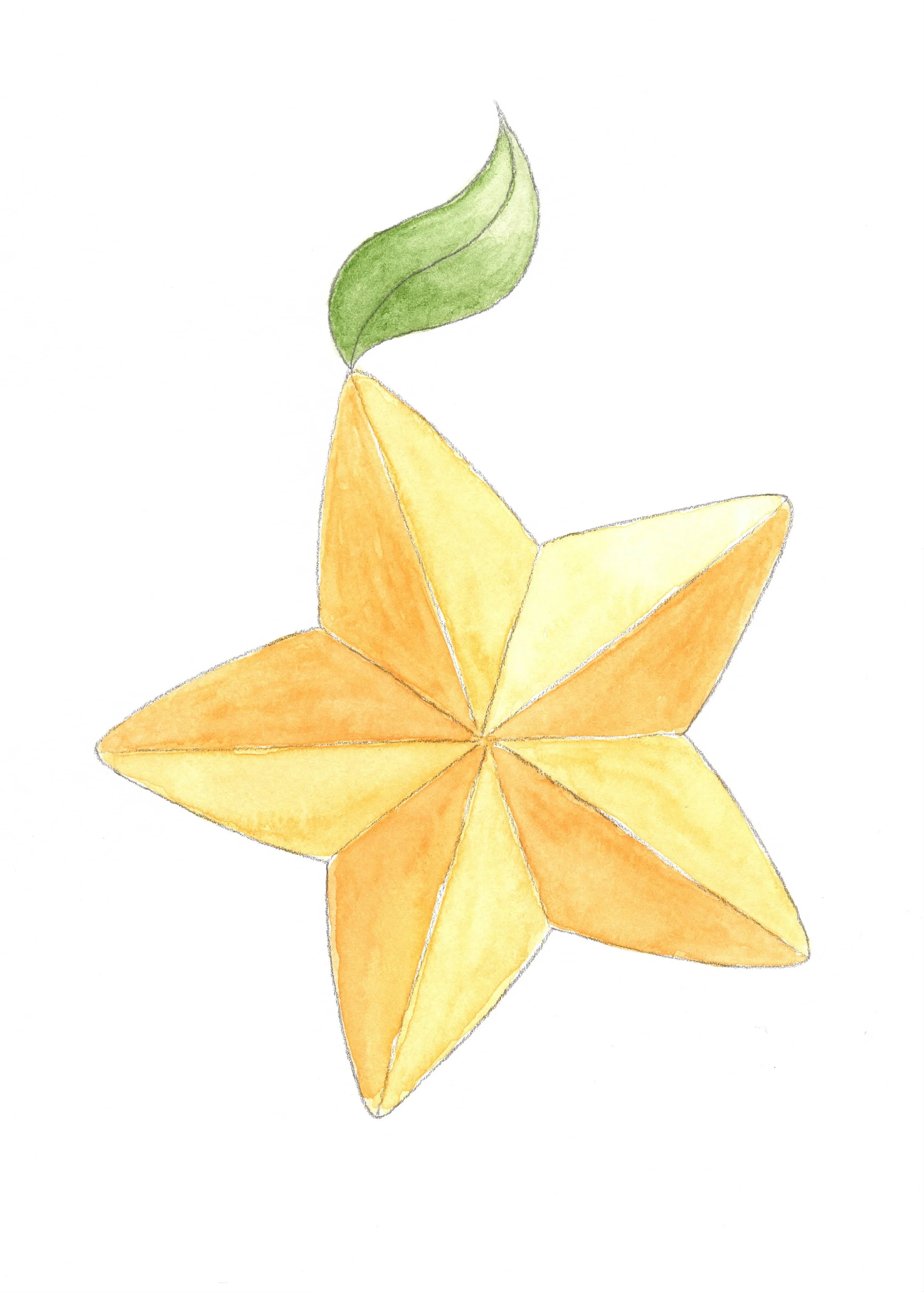 Paopu Fruit.jpeg