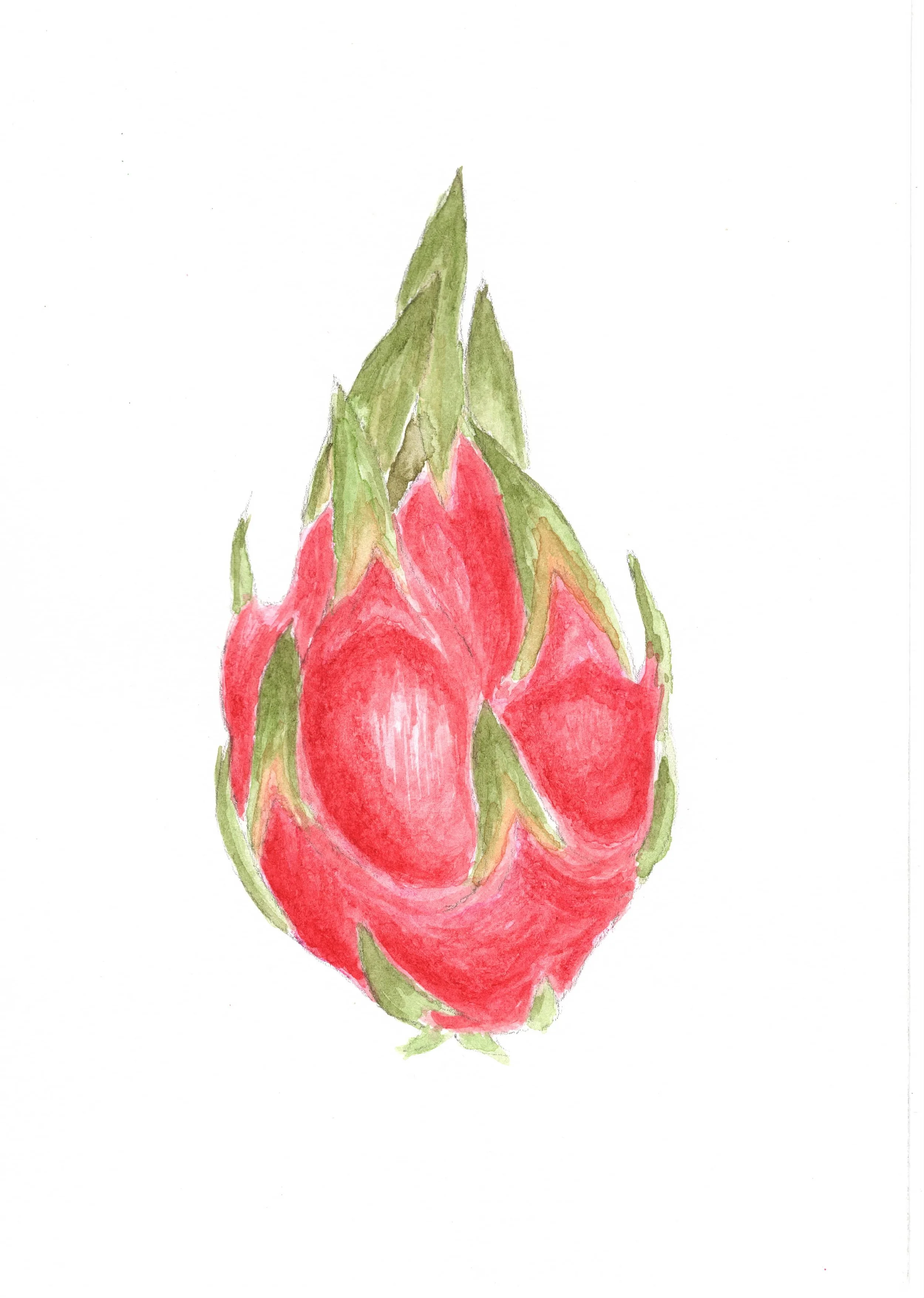 Dragonfruit_whole.jpeg