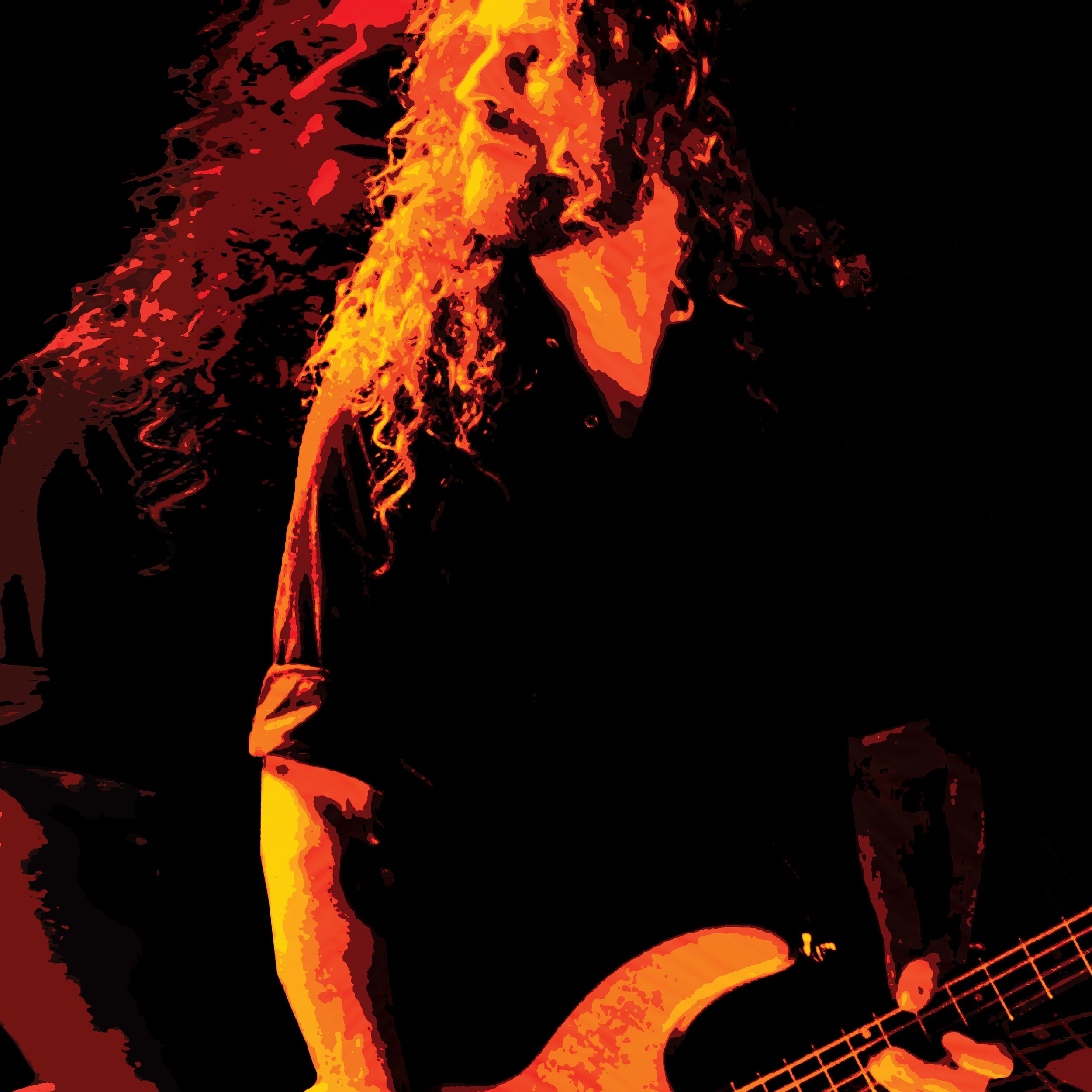 A flat depicting Justin Chancellor.