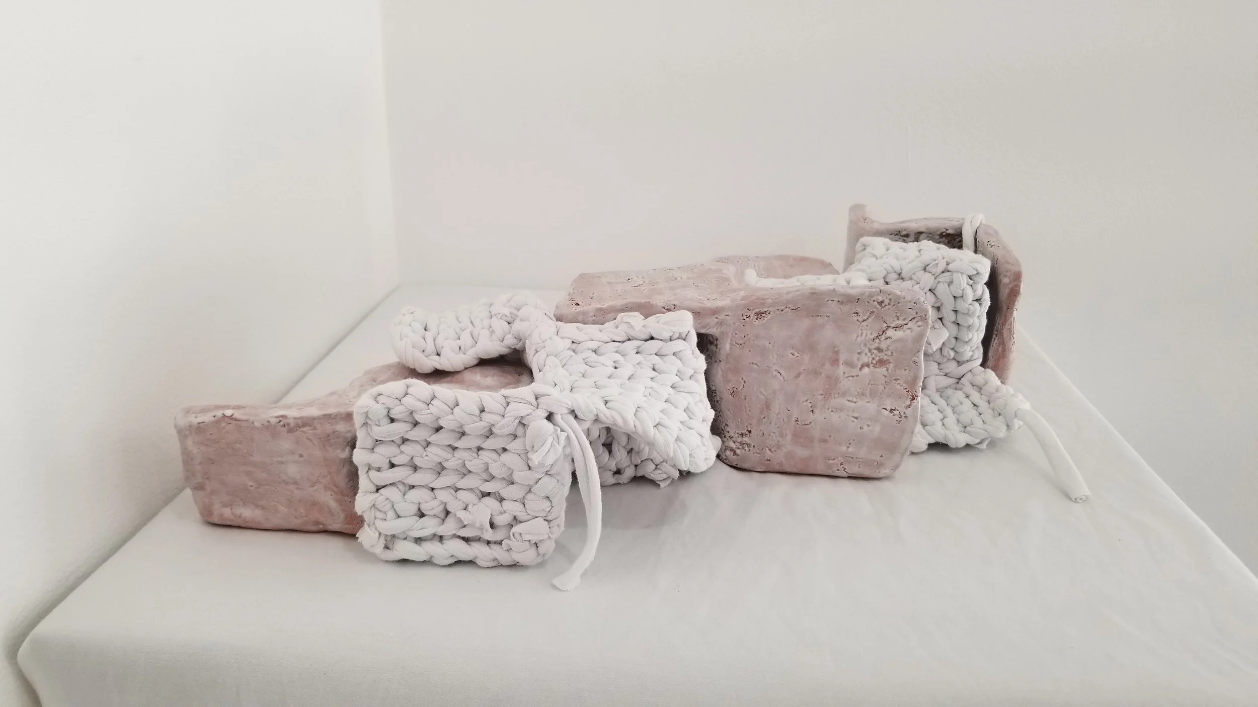 Mary Elkins
Working Together (Clay and Crochet)
Cotton, Low Fire Clay, Glaze
4” x 15” x 15” (can have different arrangements)
2024