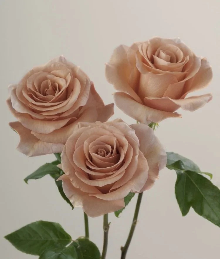 The Big Myth of "day of coordination"