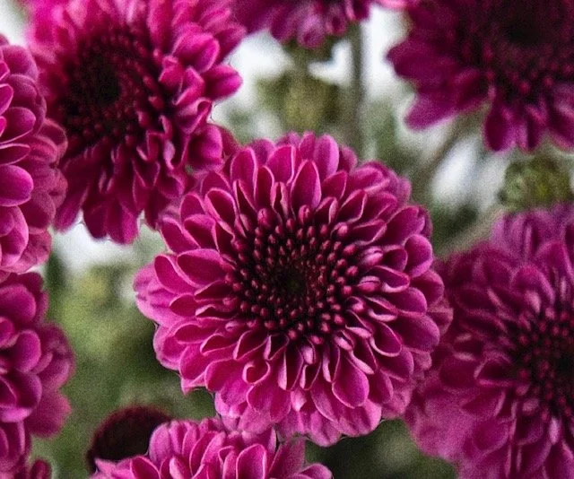 Why a Budget Is the Secret to a Truly Memorable Wedding or Event