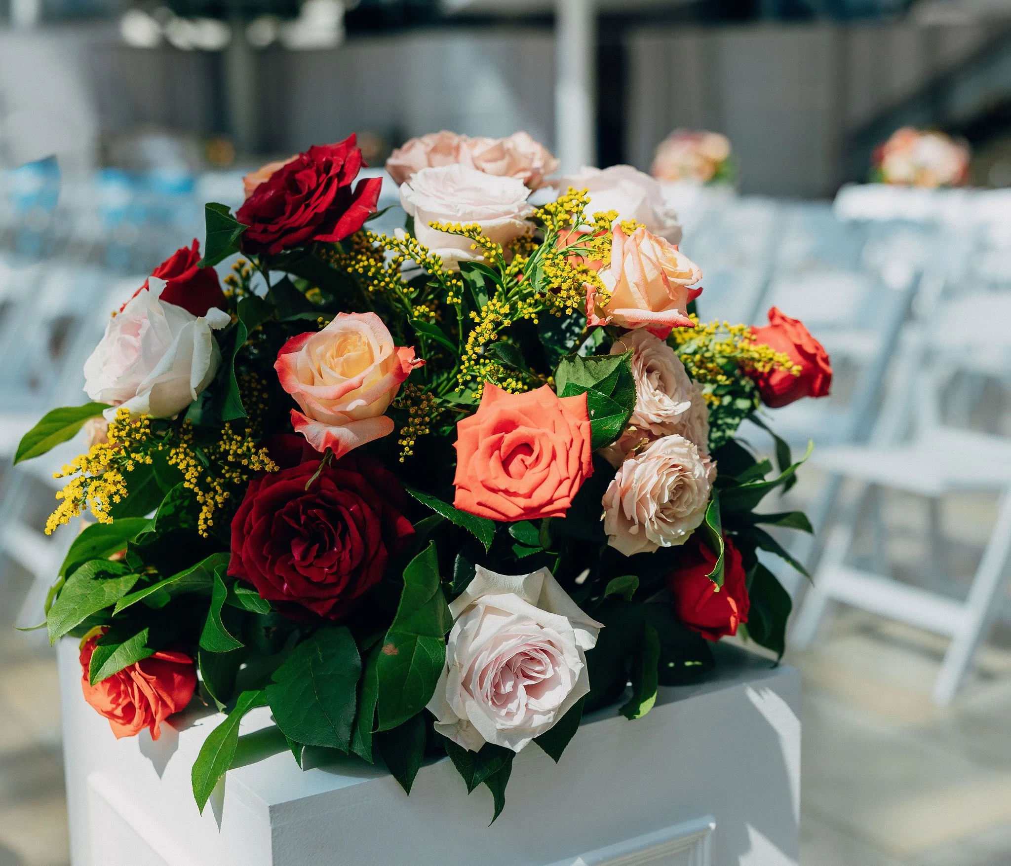 cernafinalphotos-917 (1).jpg