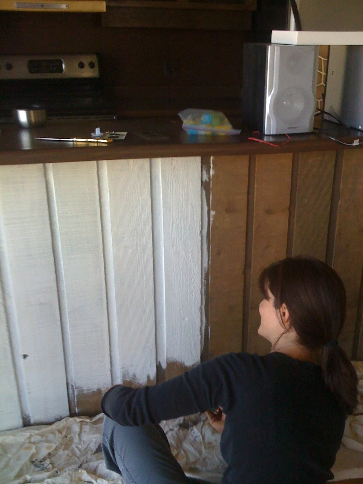 Interior designer Stephanie Cowdrey painting textured wood paneling during a hands-on home renovation, reflecting the early years and personal craftsmanship behind Velvet Oak Home.