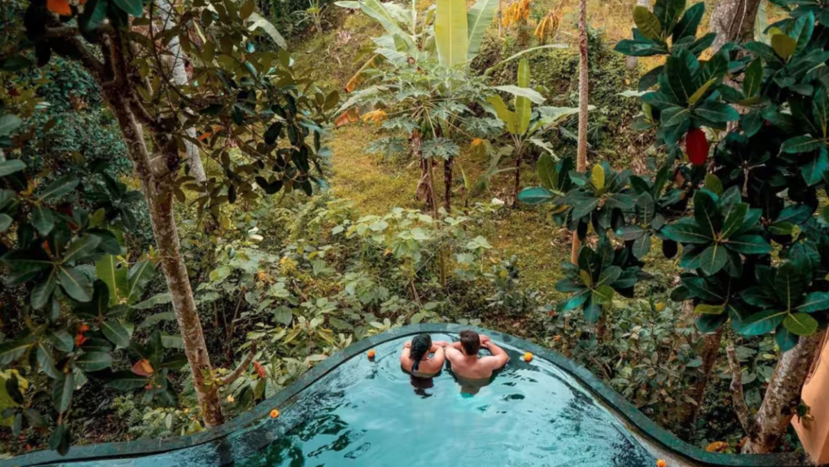 Couple relaxing in an infinity pool surrounded by lush green trees and tropical foliage.