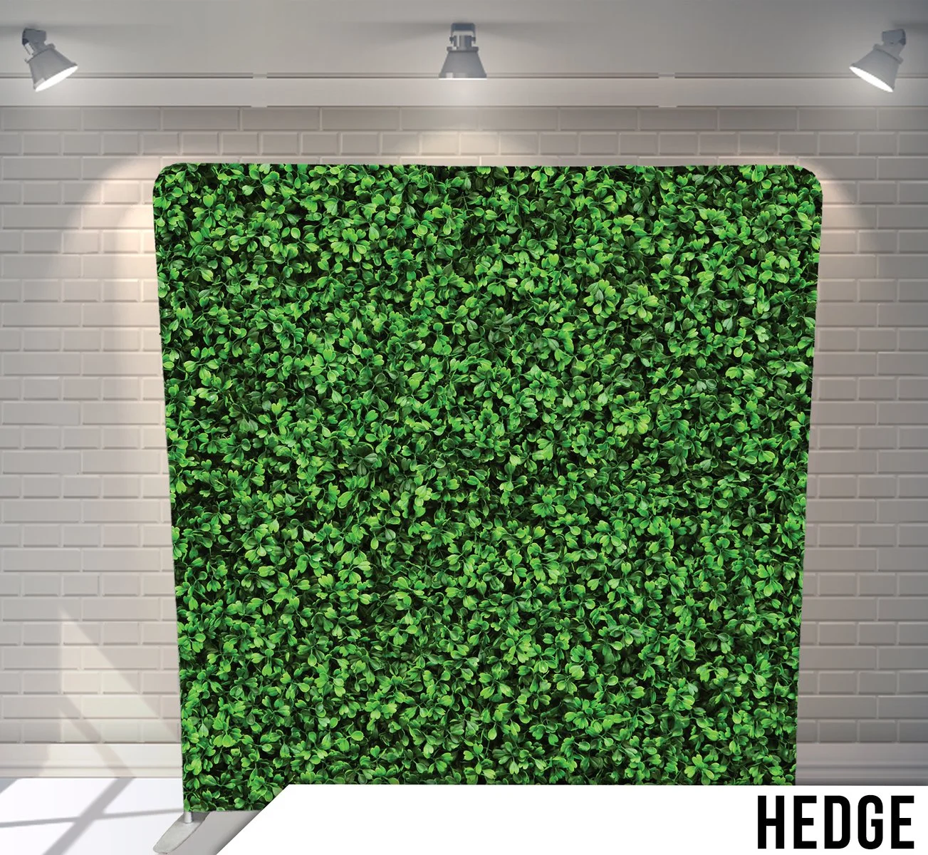 A green hedge standing against a white brick wall and illuminated by three overhead spotlights.