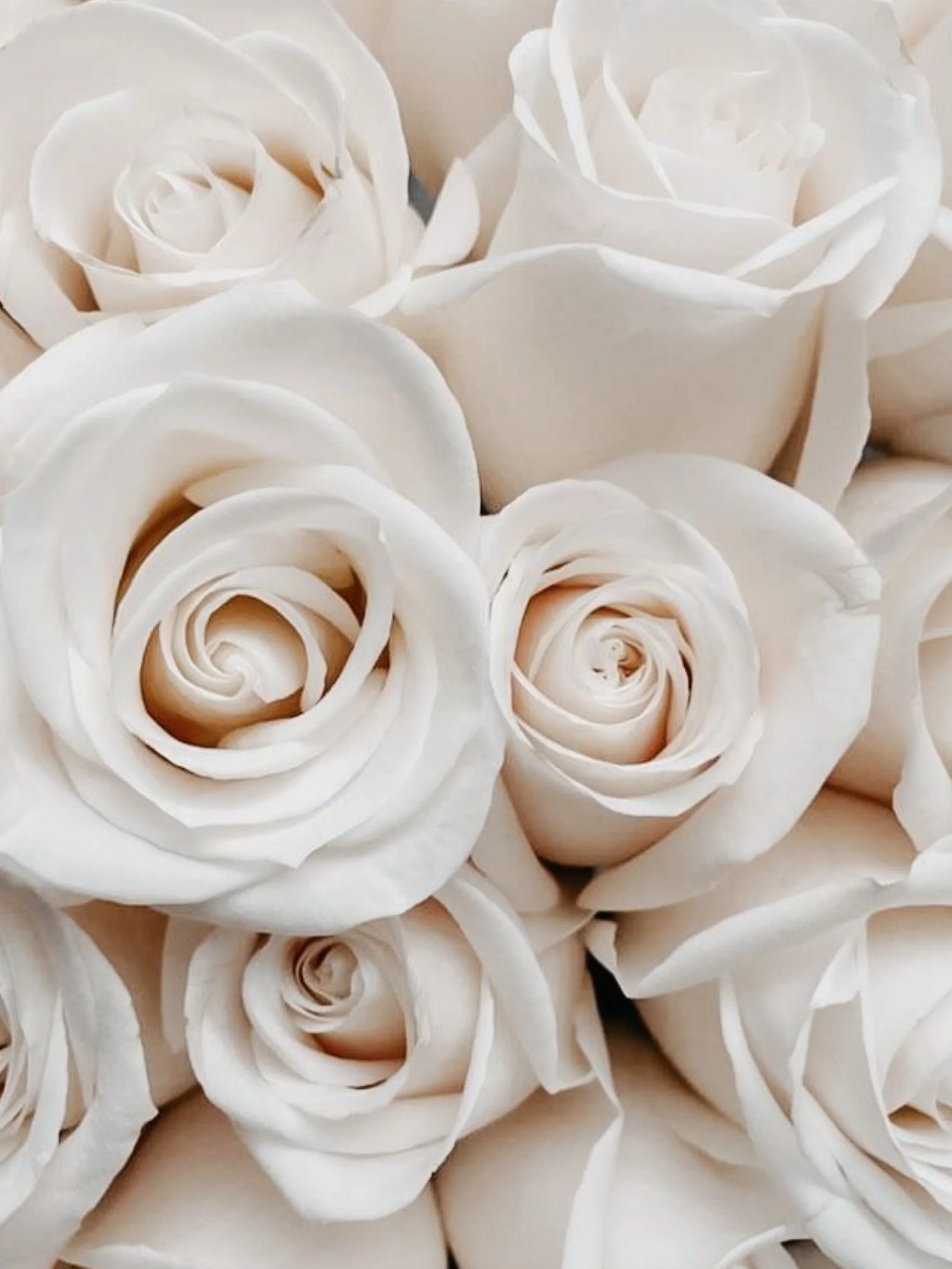 Close-up view of white roses made from a soft material, possibly paper or fabric, arranged in a cluster.