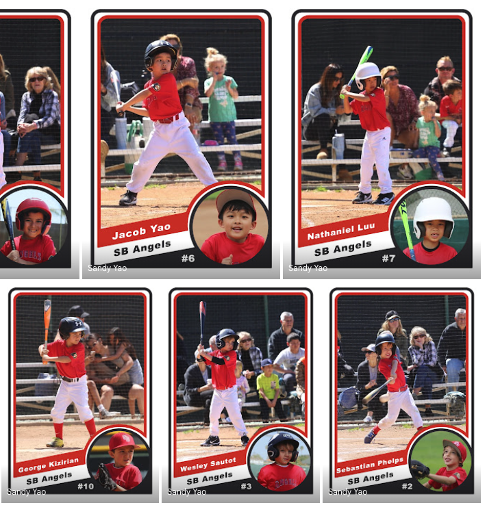 Add-on: Team Sports Cards