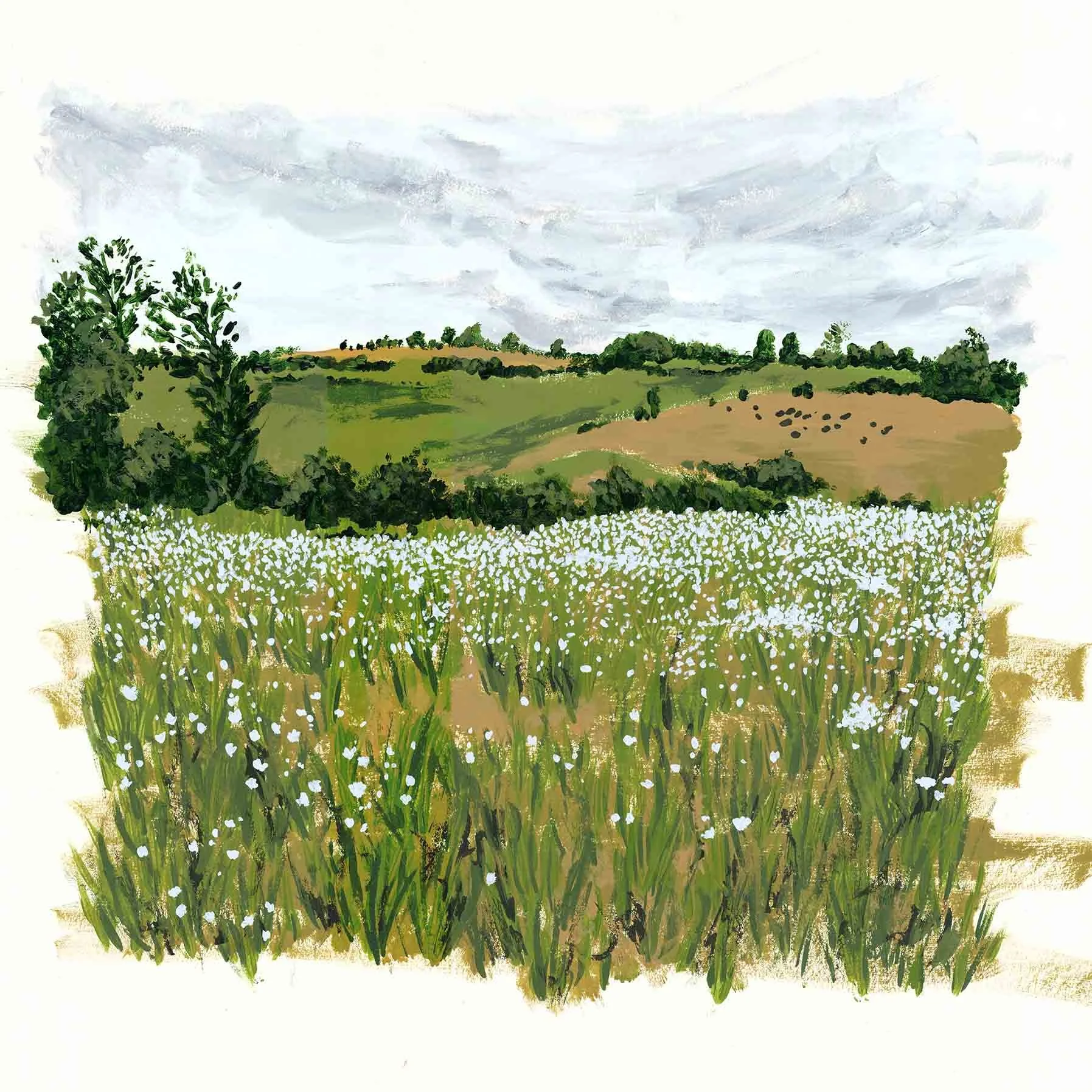 Green Fields 30.4 cm x 30.4 cm.jpg