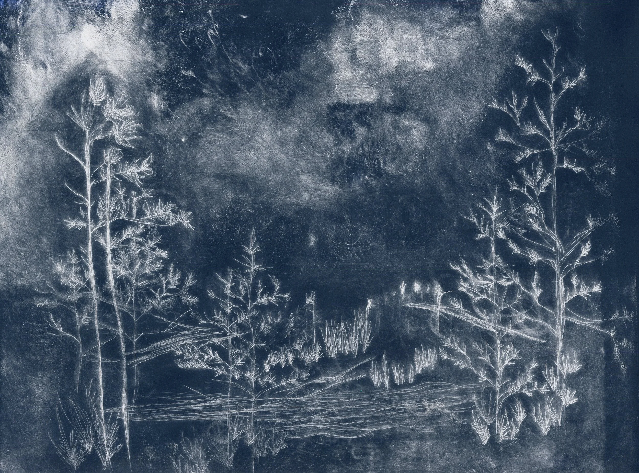 etching sceen inverted copy.jpg