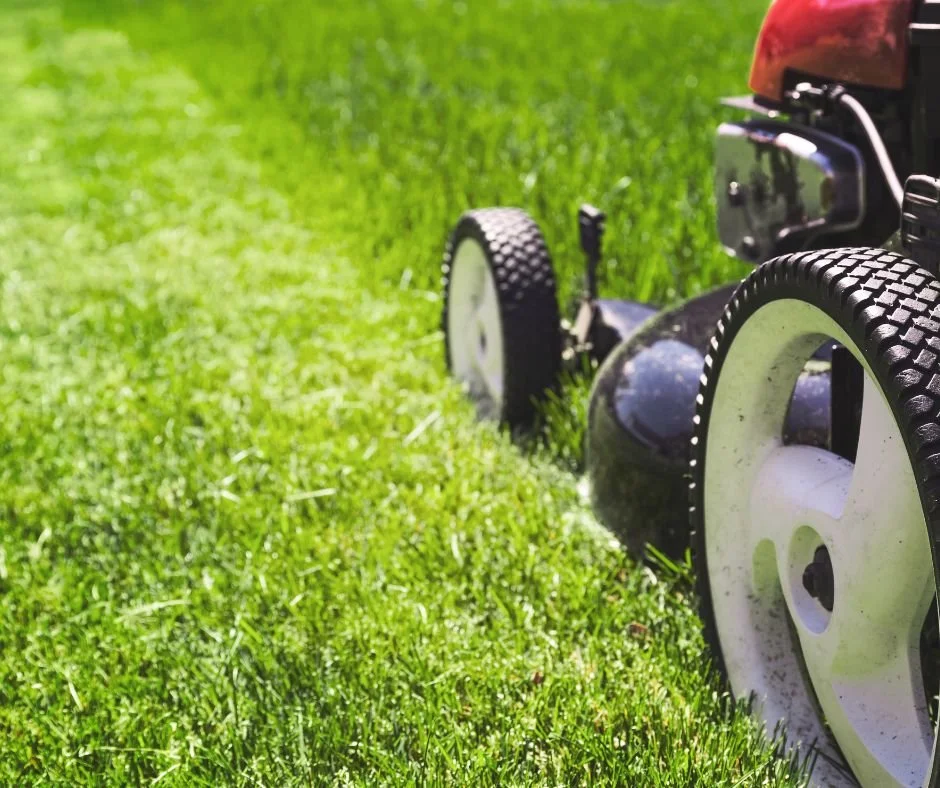 A lawn mower cutting grass on a lush green lawn.