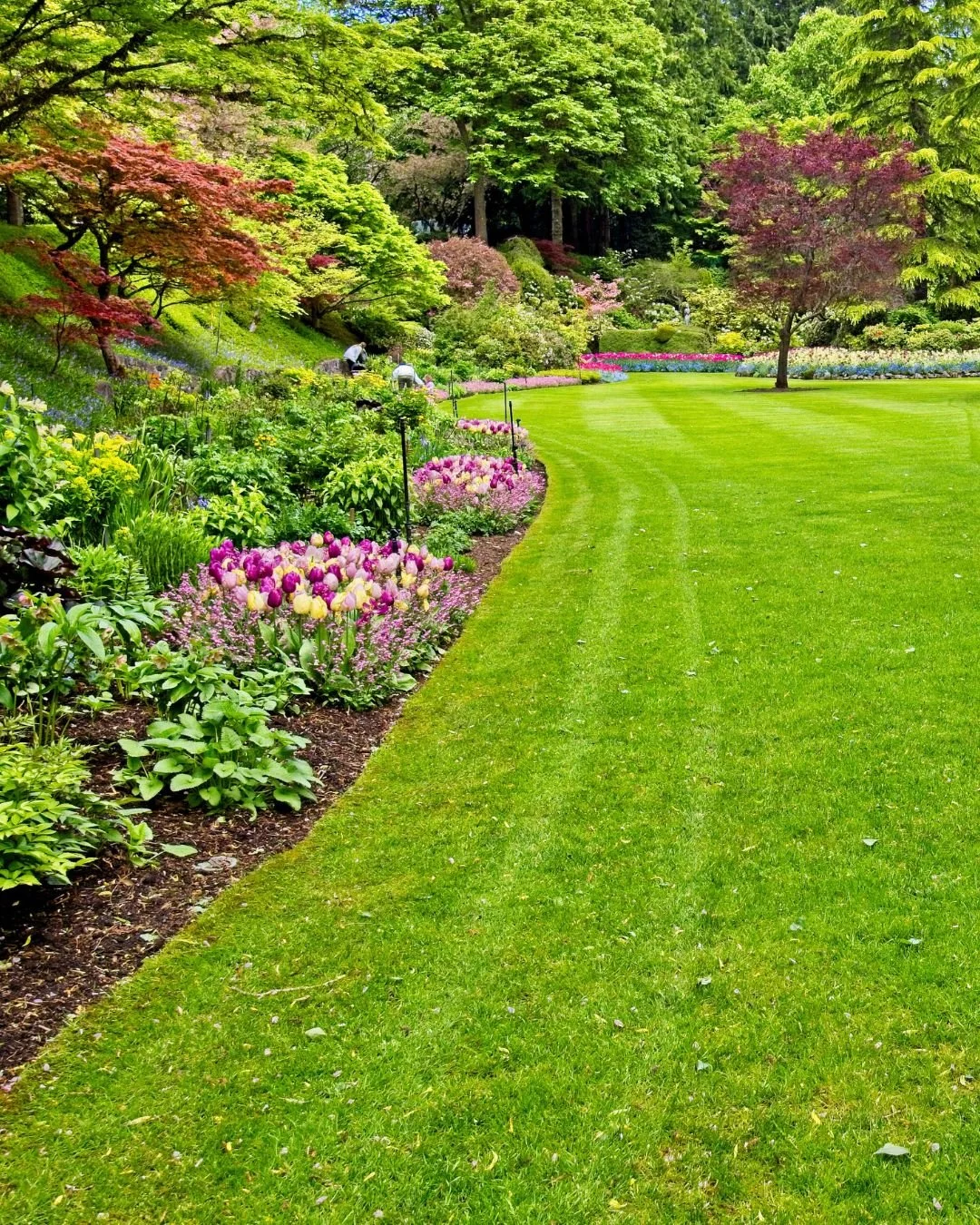 A lush green garden with well-maintained grass, vibrant blooming flowers, and trees with pink, red, and green foliage.
