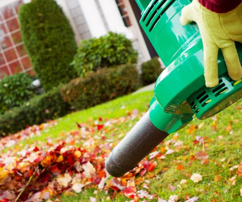 Person using leaf blower to clear fallen autumn leaves on grass, with a green bench, bushes, and house in background.