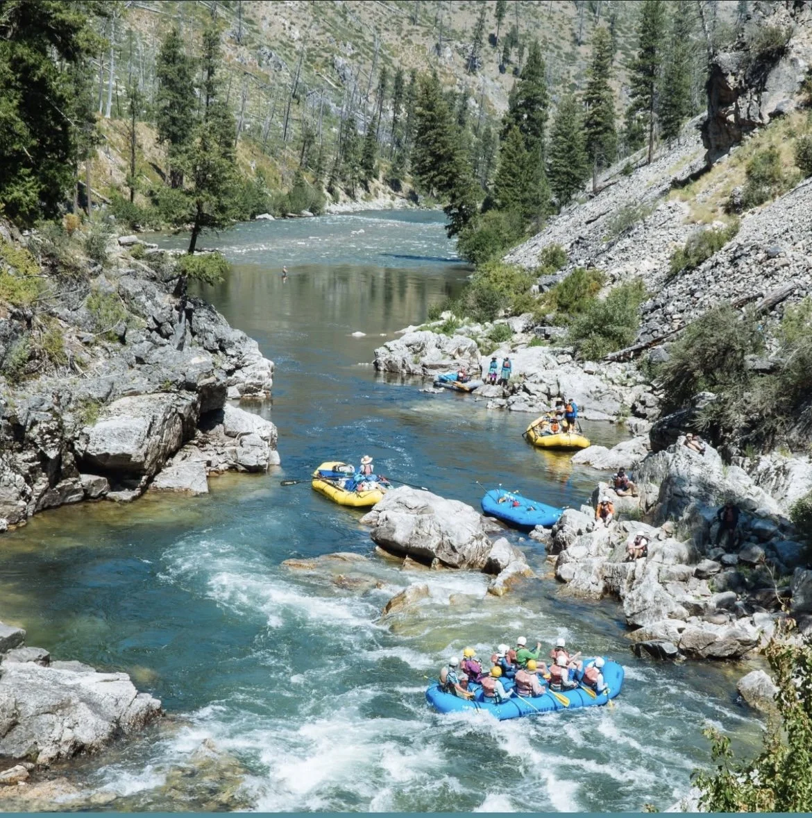 People white water rafting on a river surrounded by rocks and trees in a forested area