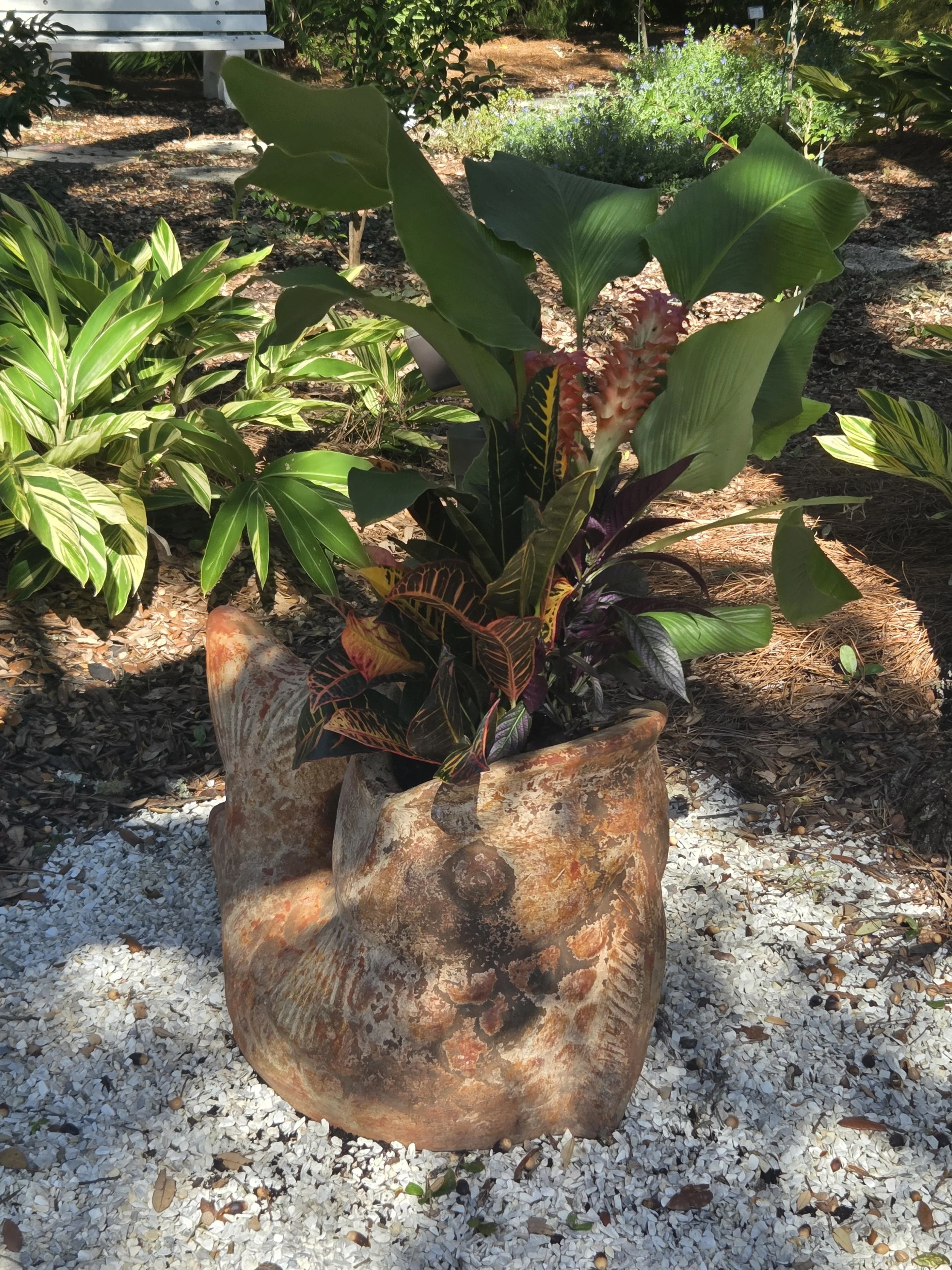 Photo: Velda Dougherty 