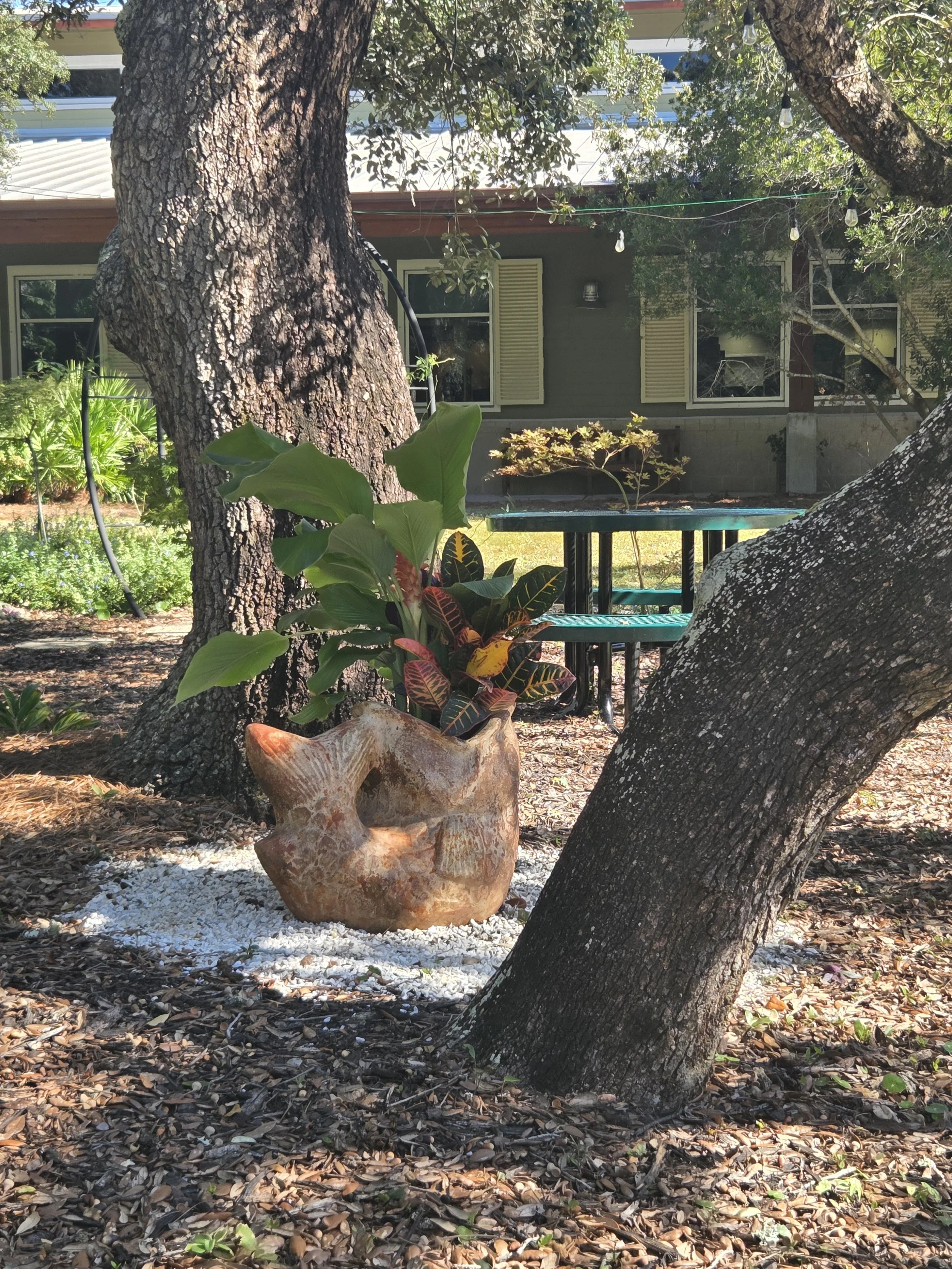 Photo: Velda Dougherty 