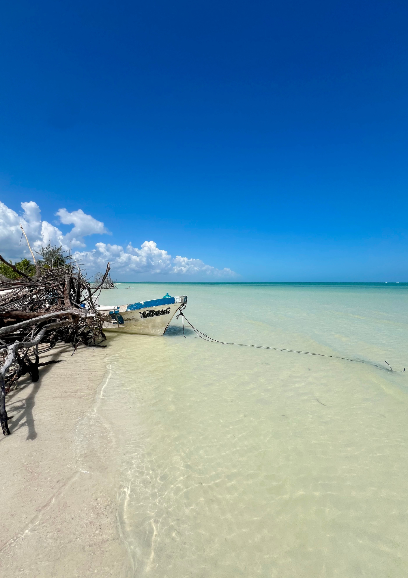 Plage de sable blanc avec un bateau échoué près de la côte, arbres en bois flotté, eaux turquoise et ciel bleu avec quelques nuages.