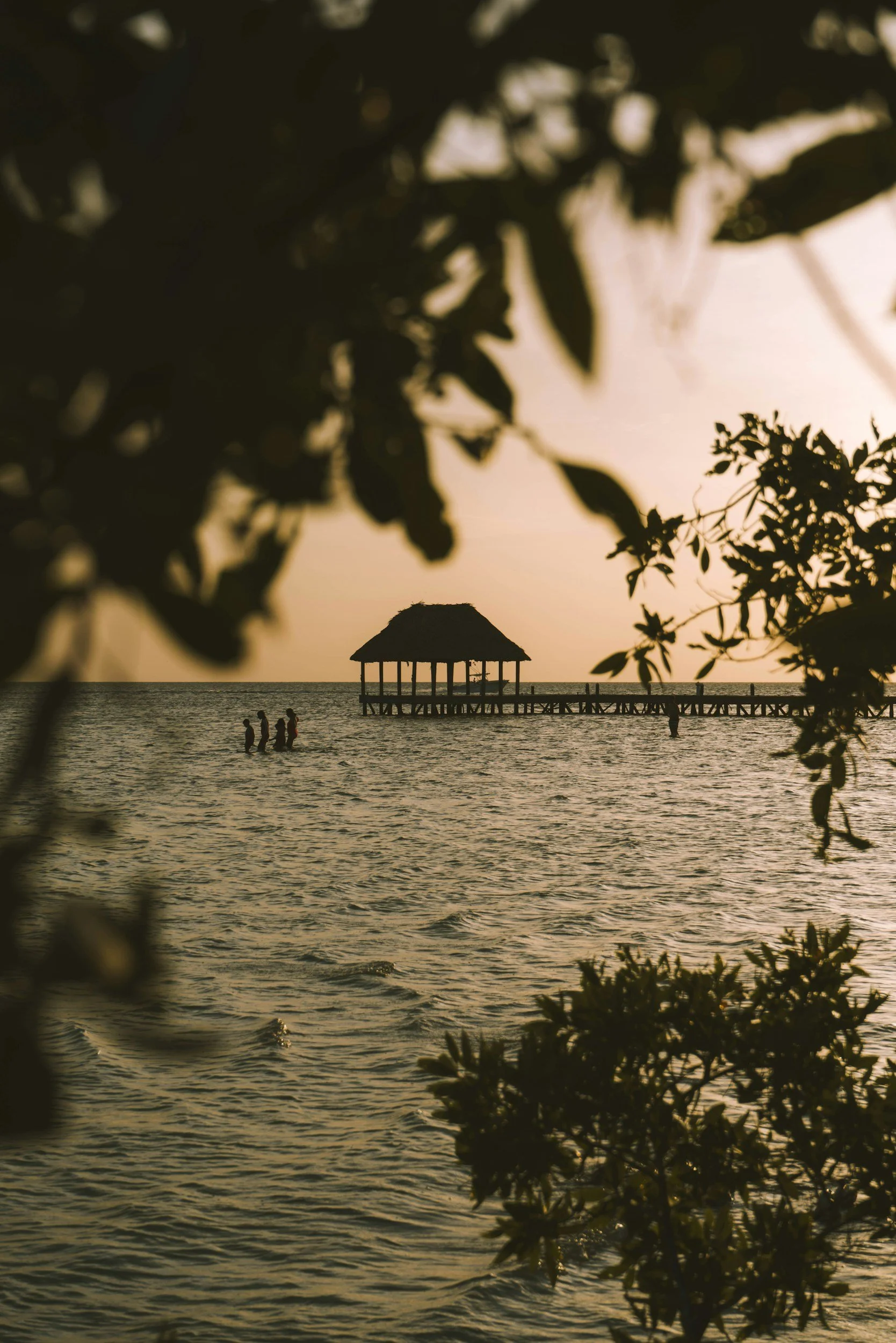 Coucher de soleil sur la mer avec une structure en bois sur pilotis et des personnes nageant près de la plateforme, encadré par des feuilles d'arbres en silhouette.