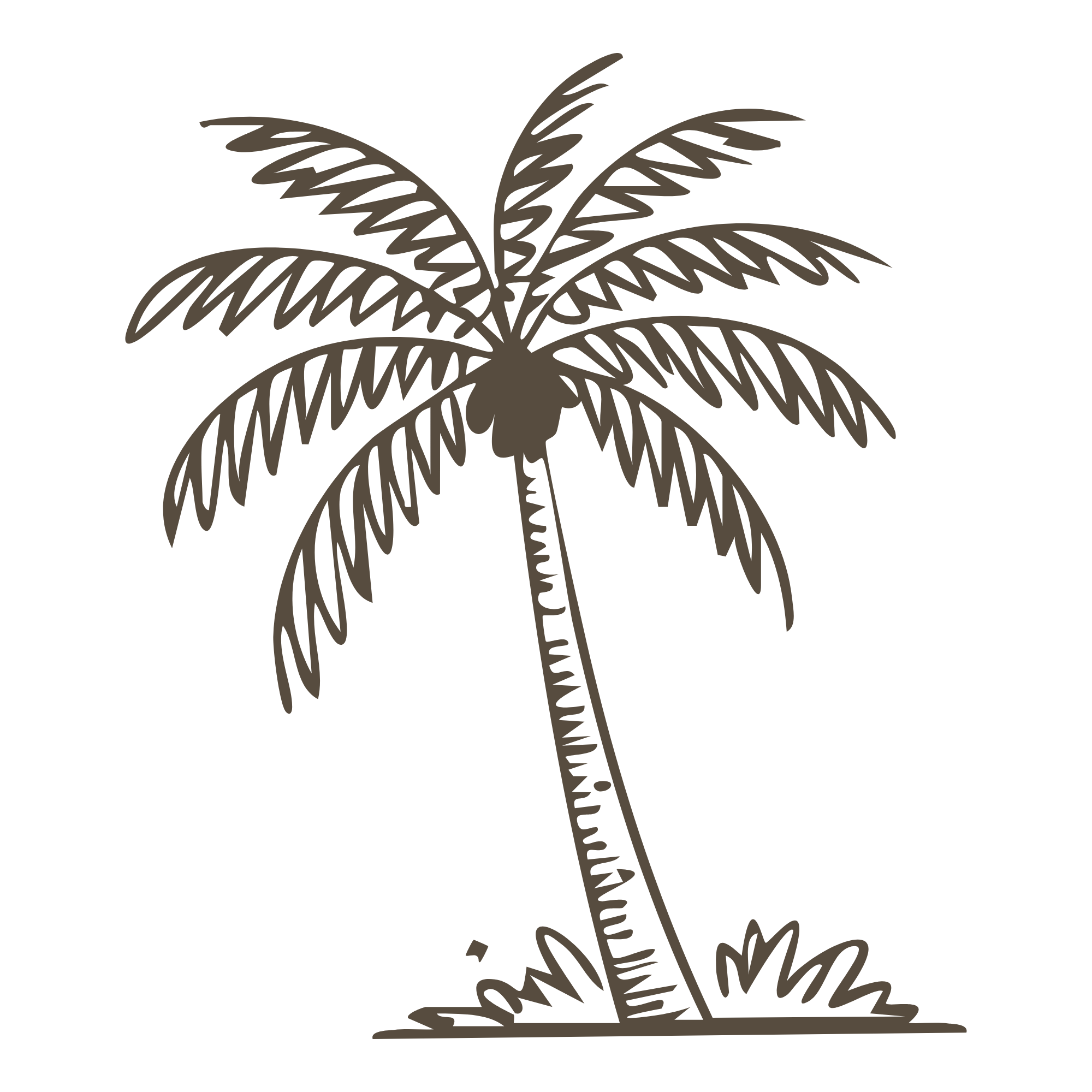Une illustration d'un palmier avec un tronc courbé et des feuilles larges.