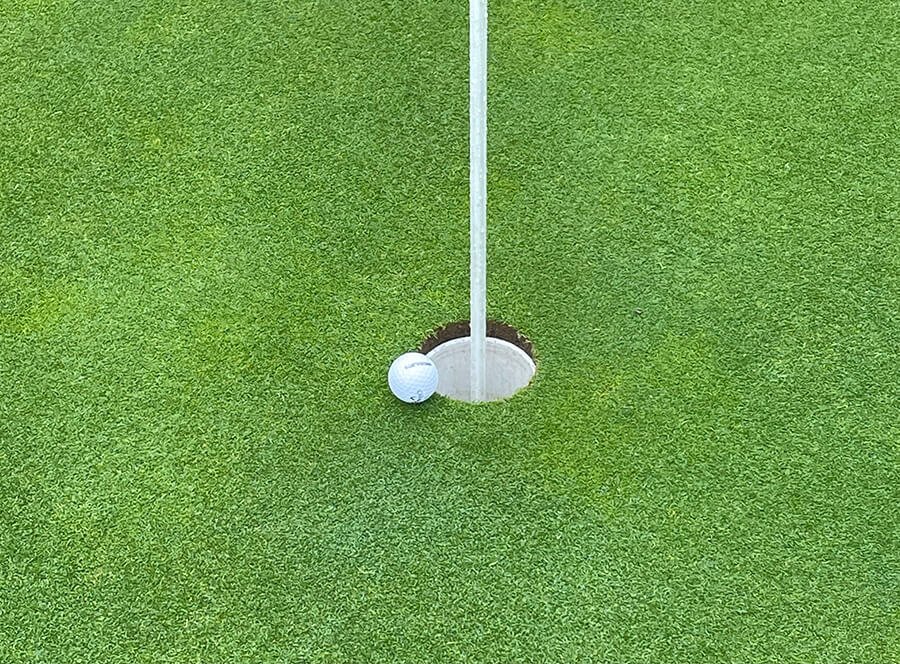 Der Frühling steht vor der Tür und wir in den Startlöchern