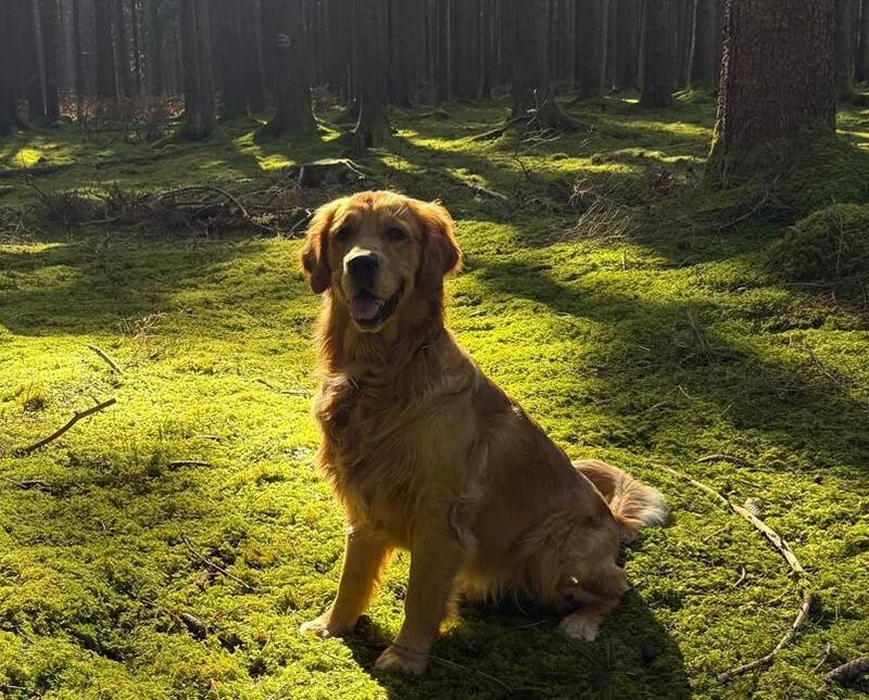 Der Frühling bleibt in den Startlöchern, wir sind trotzdem schon mal losgelaufen