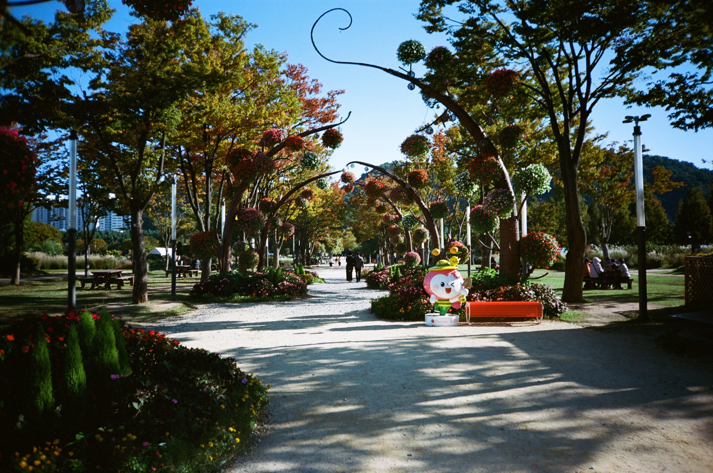 Scan270766.jpeg