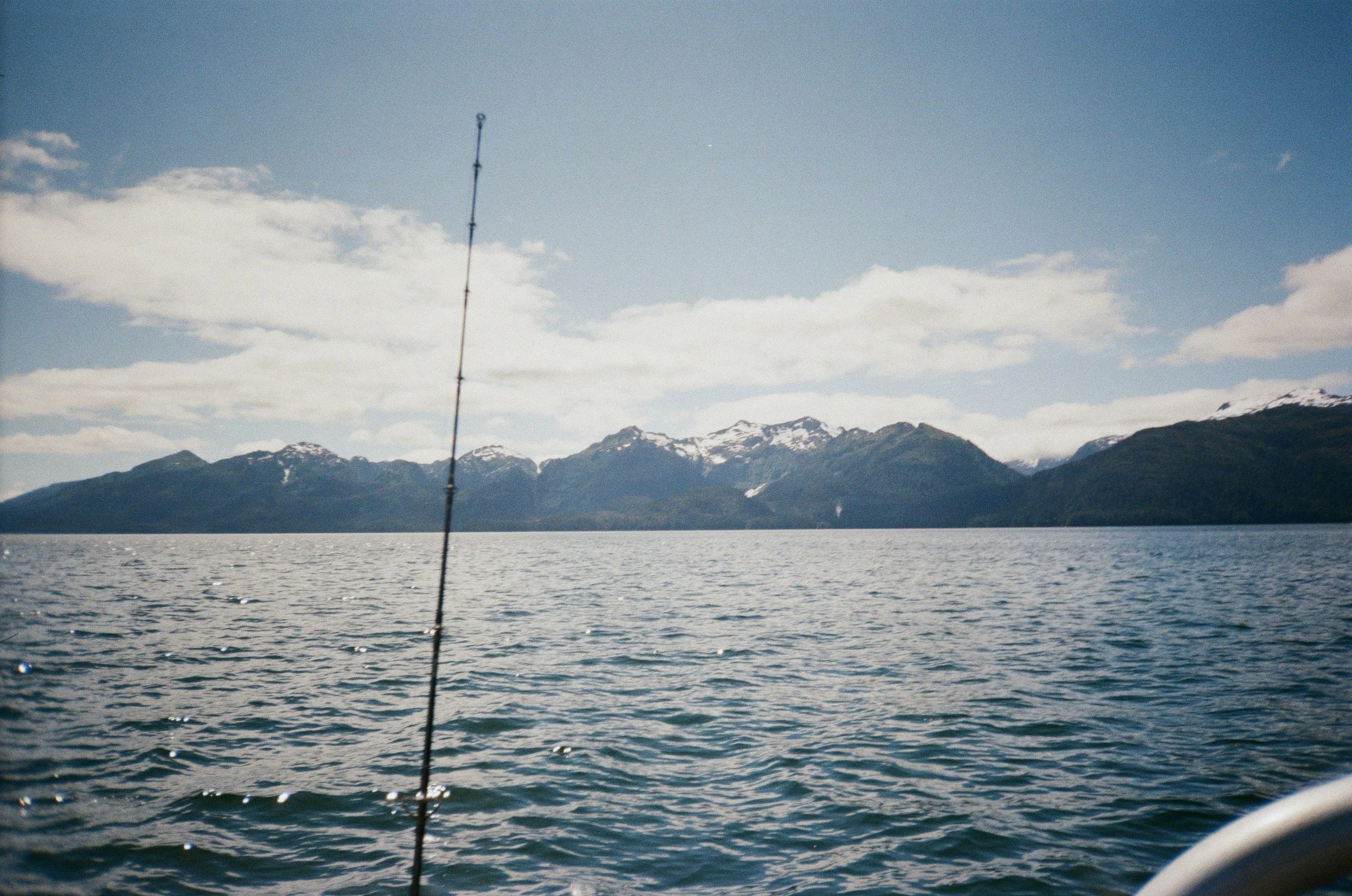 IMG_3053.jpeg