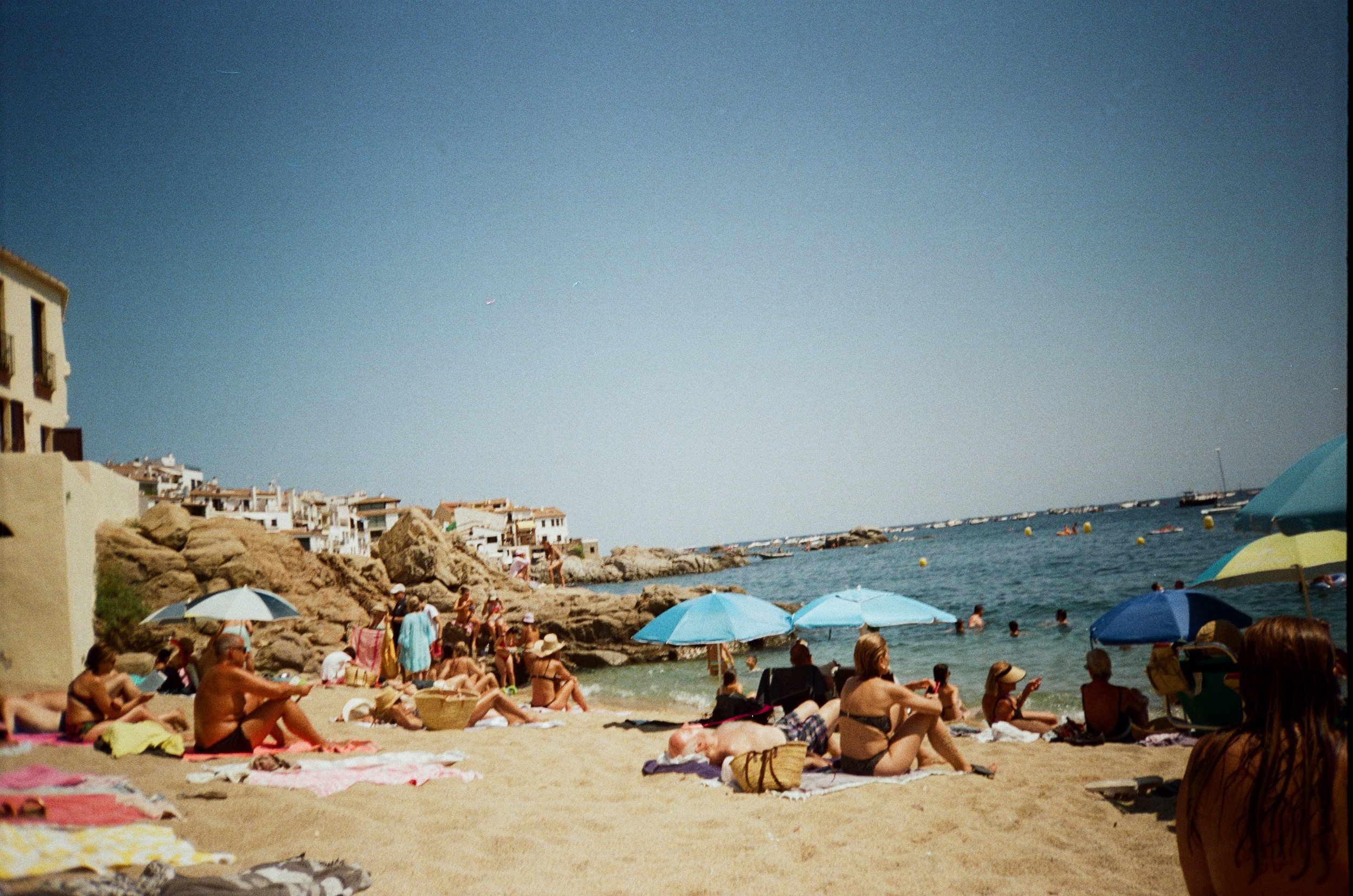 IMG_6816.jpeg