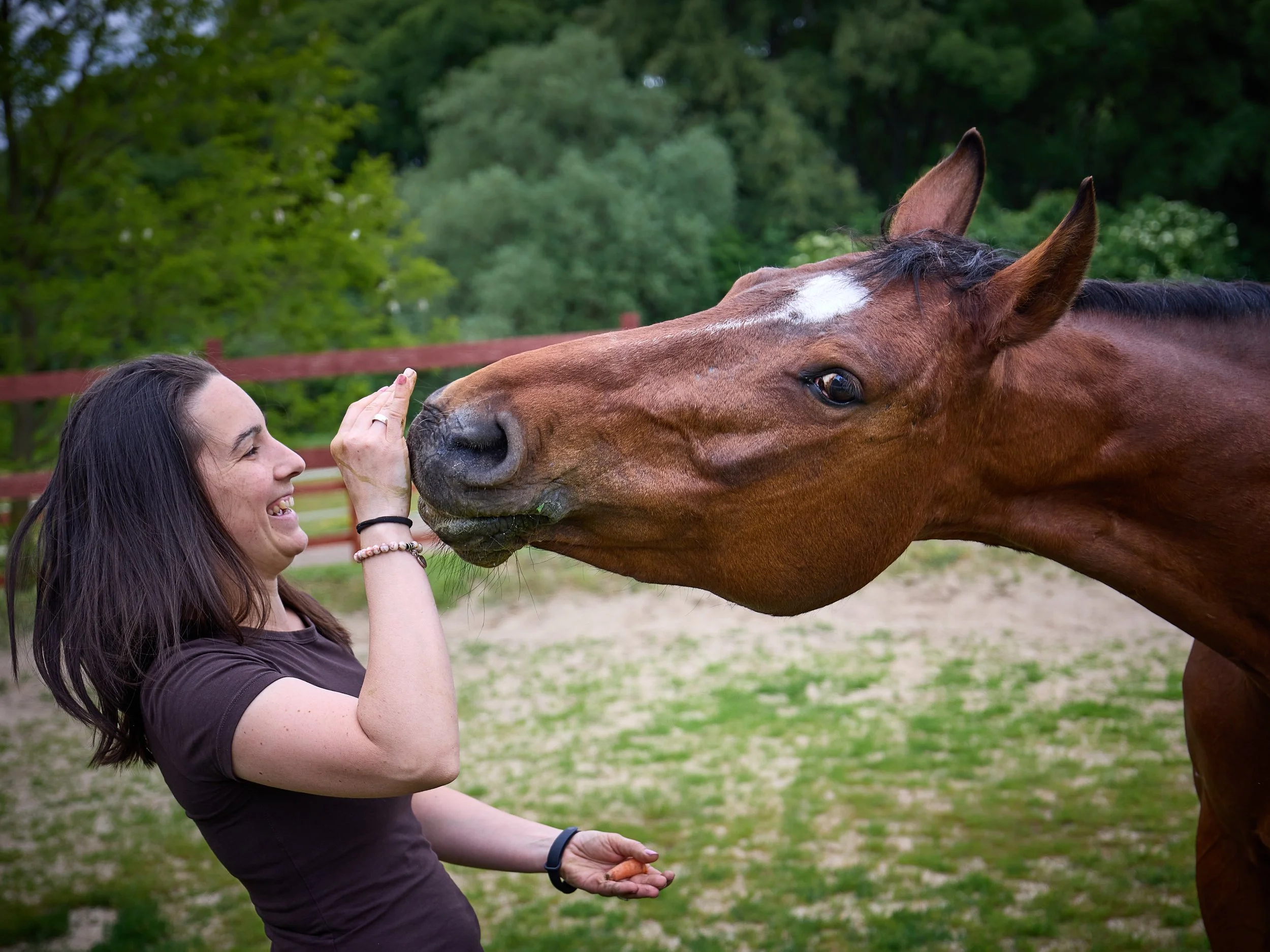A woman with long dark hair and a black shirt is smiling and touching the nose of a brown horse with a white star-shaped mark on its forehead. They are outdoors in a green, wooded area with a wooden fence in the background.