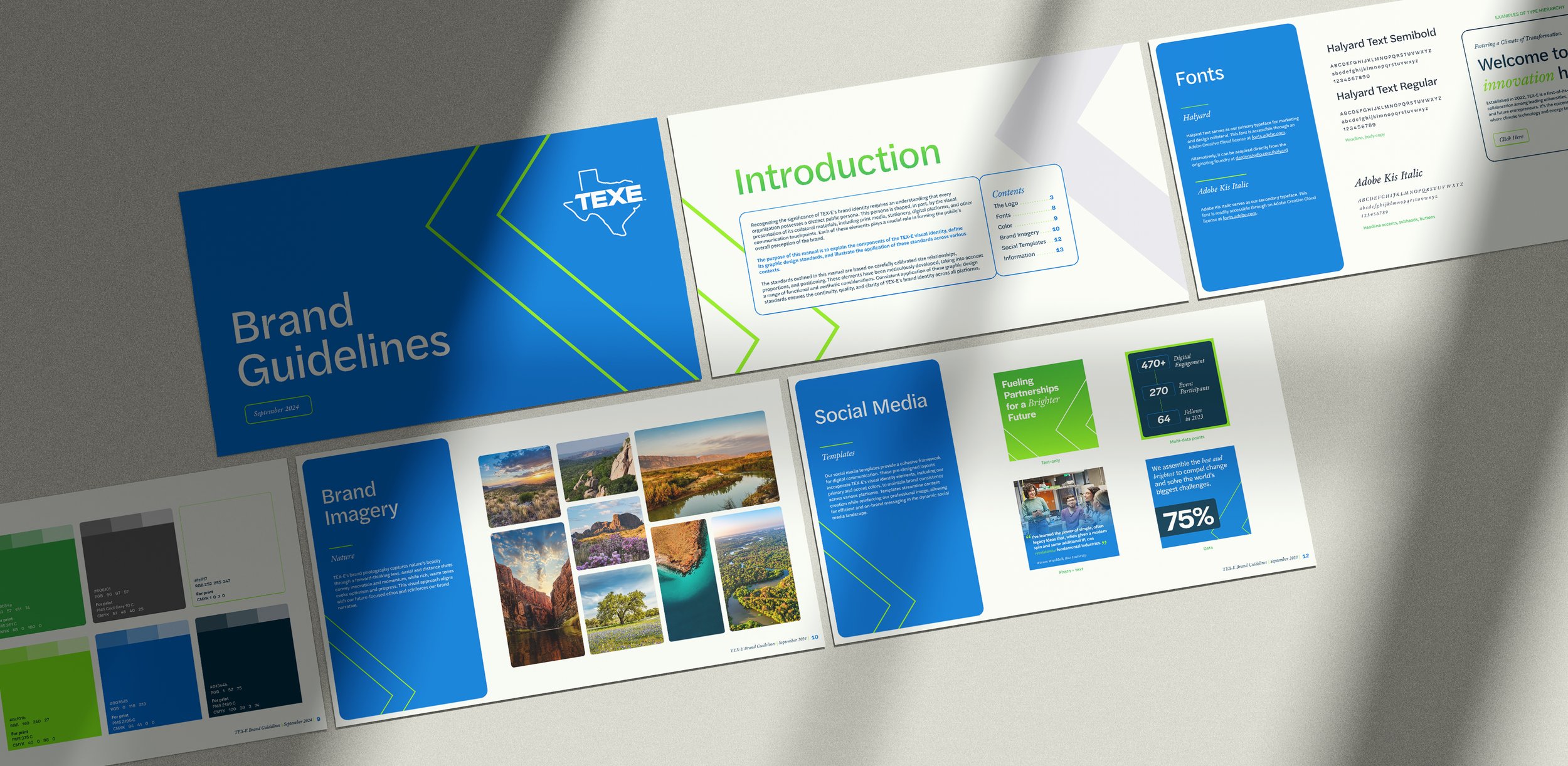 tex-e-casestudy-brand-guidelines-ravencreative.jpg