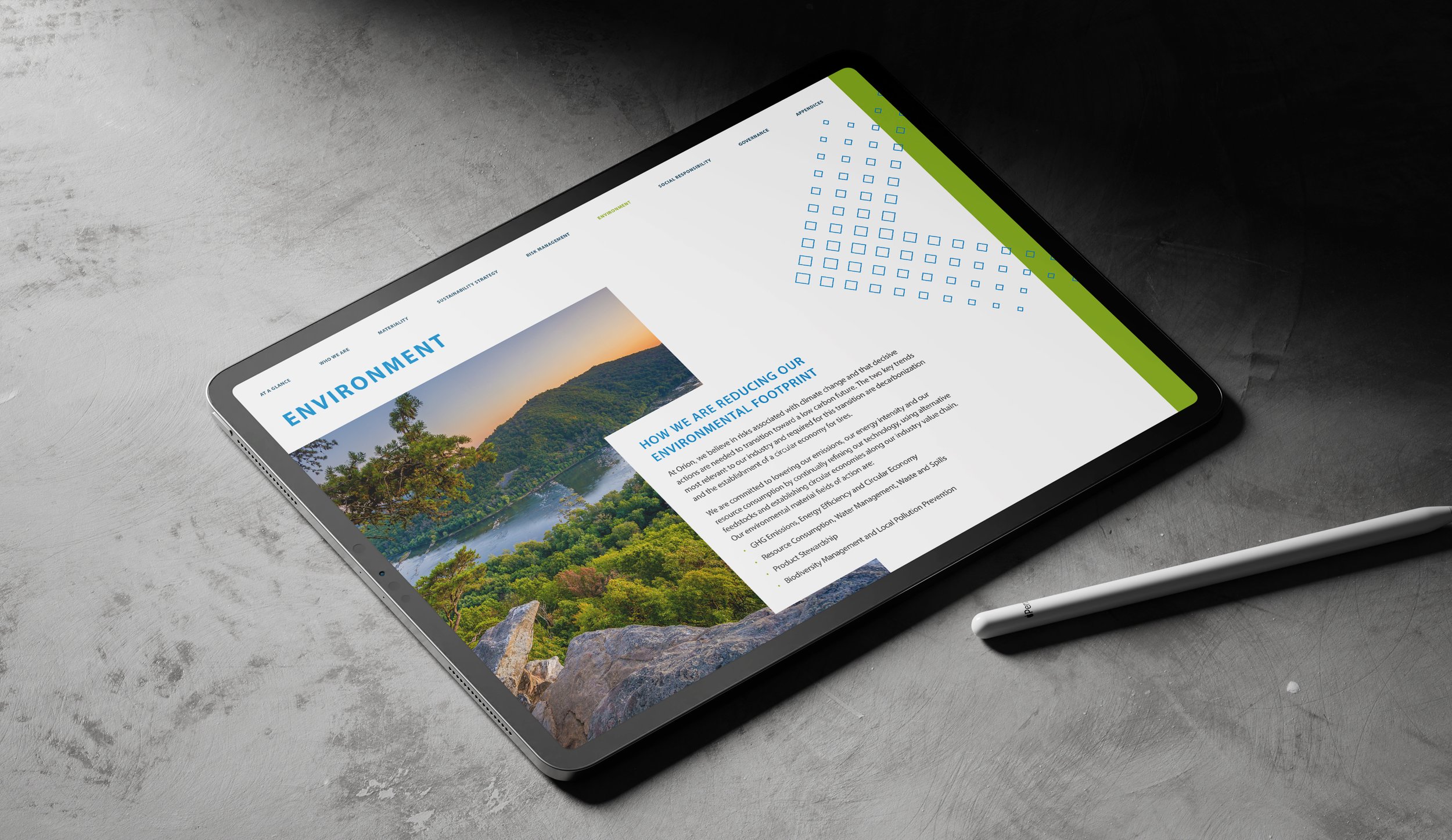 orion-casestudy-report-environment-strategy-ravencreative.jpg