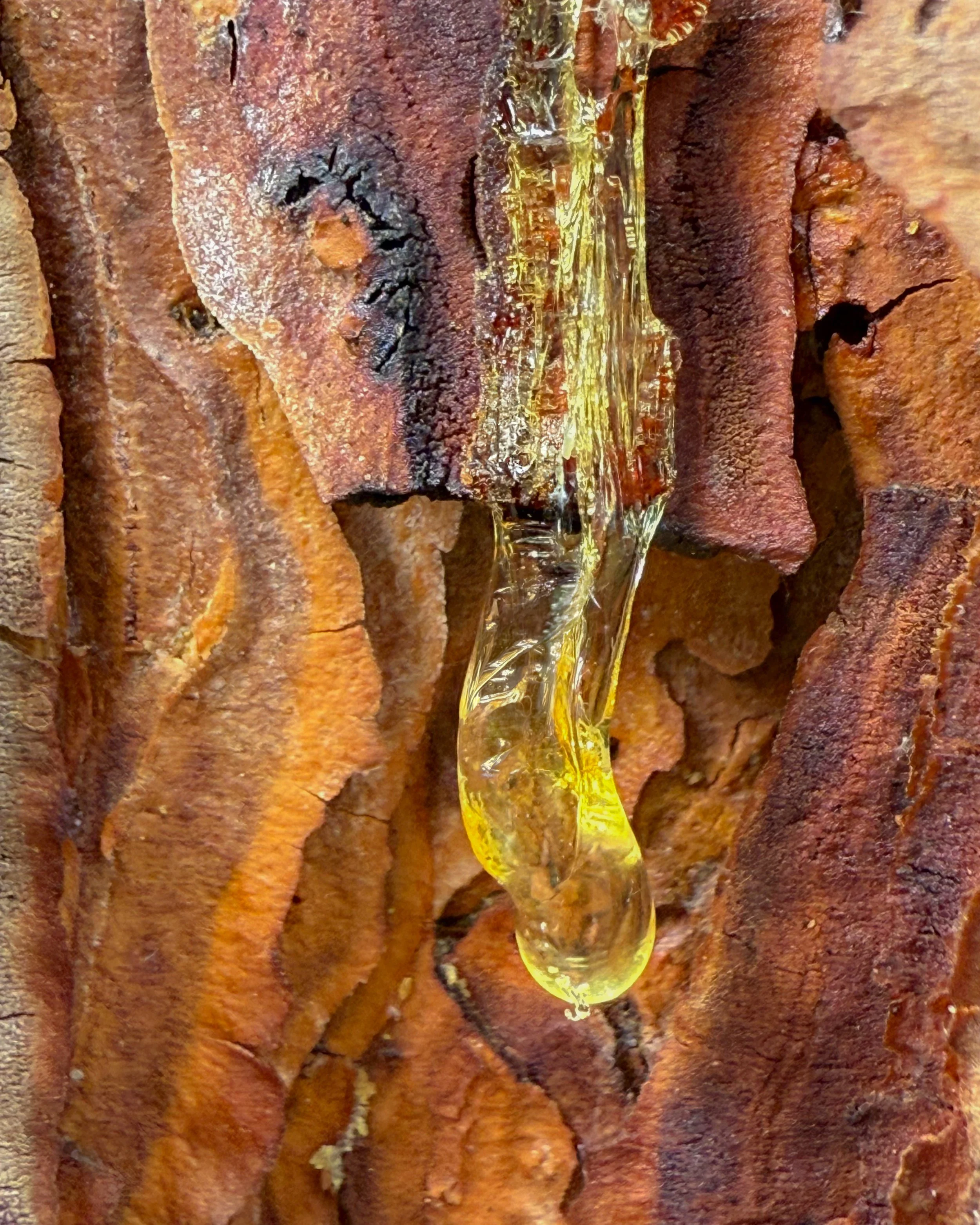 Amber
