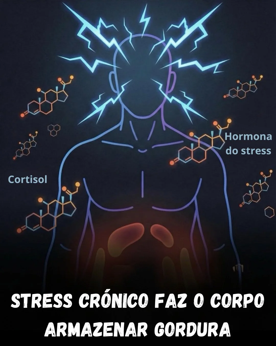 ⚠️ O stress n&atilde;o apenas te deixa ansioso, nervoso, irritado... tamb&eacute;m provoca altera&ccedil;&otilde;es hormonais e, consequentemente, no teu organismo. ⚠️

Estares em constante stress, de forma cr&oacute;nica, aumenta o cortisol, a chama