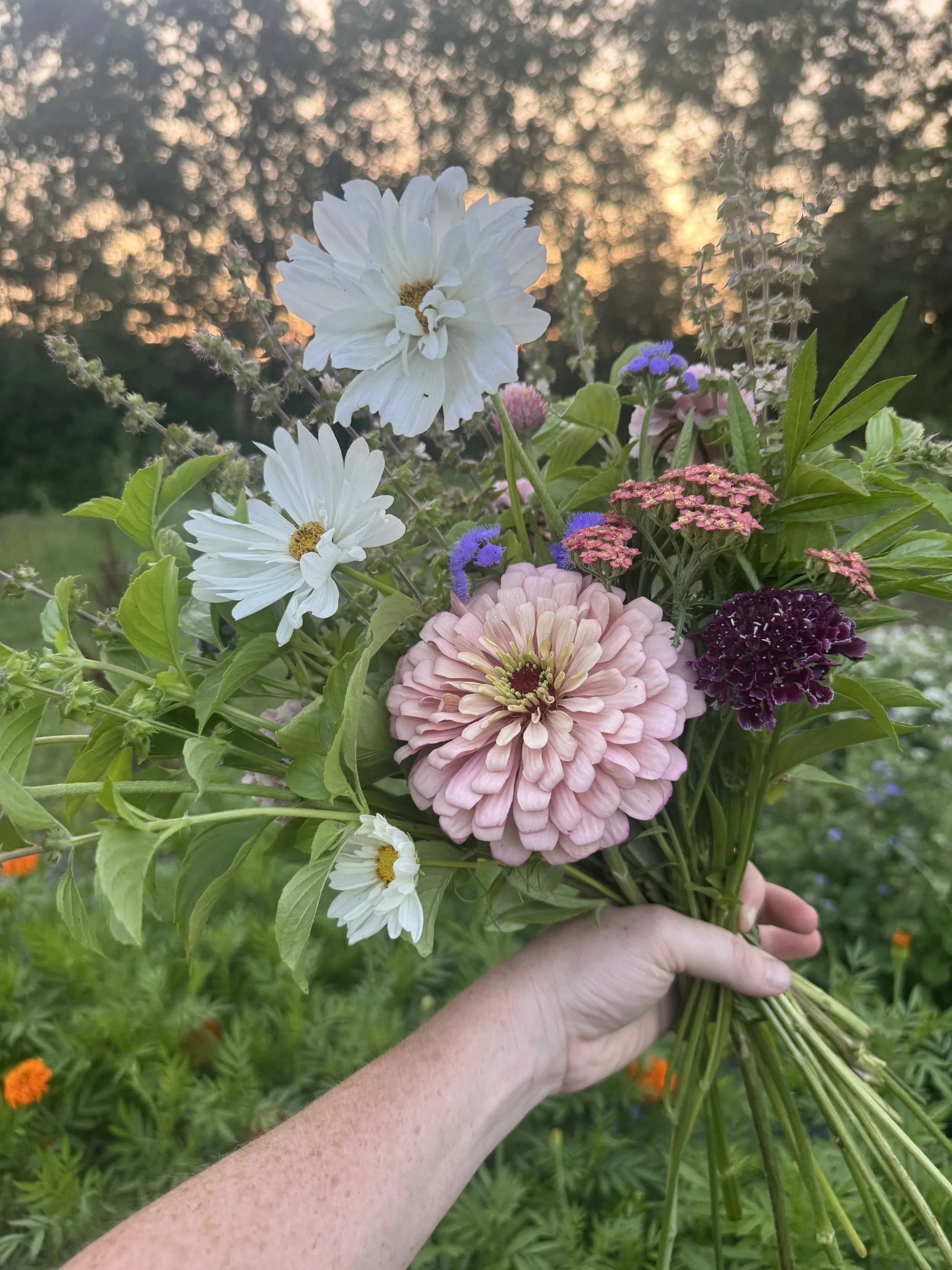 farmstand bouquet.jpeg