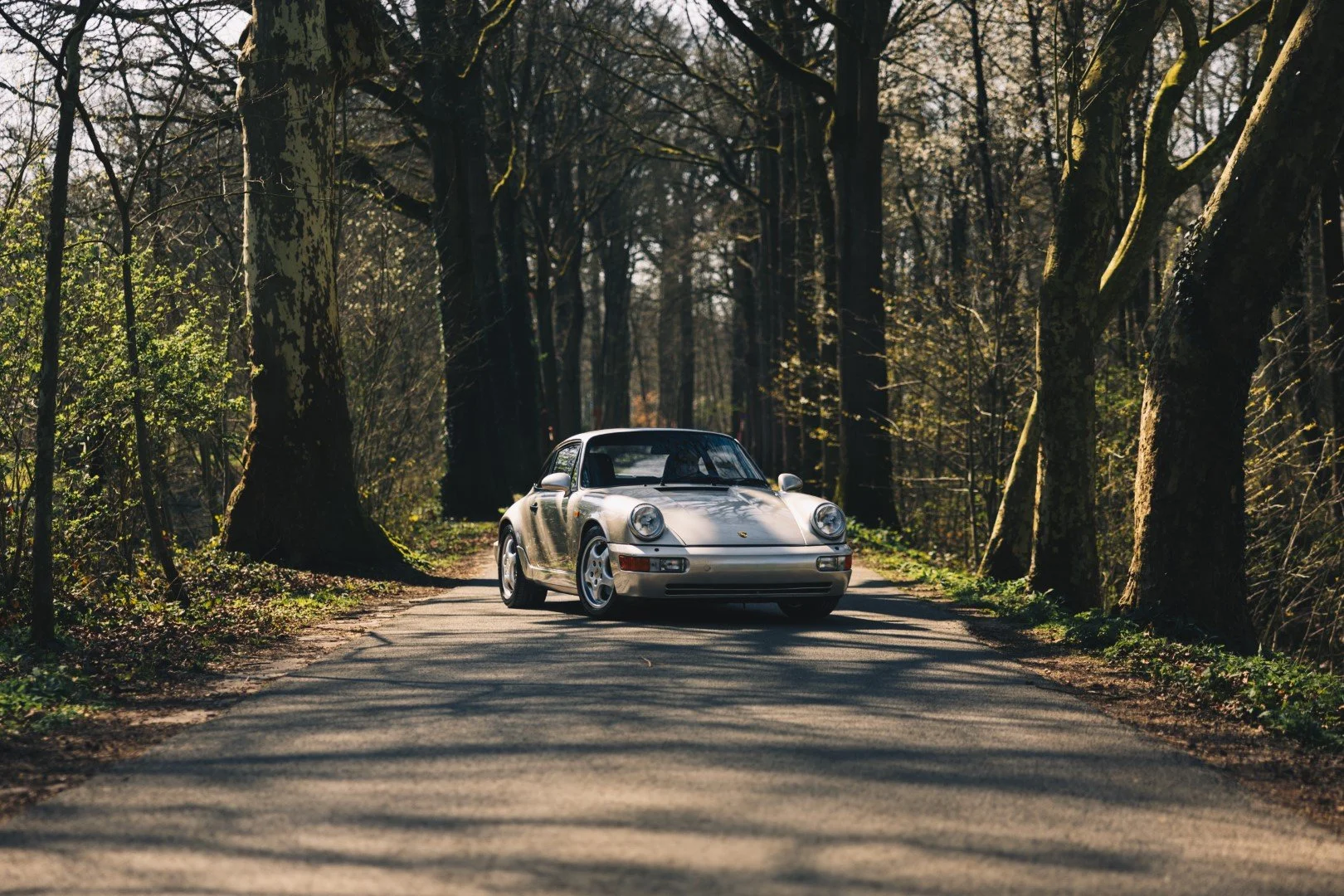 Porsche 964 Carrera 4 1990 Linen Grey Metallic Exterior_065.jpg