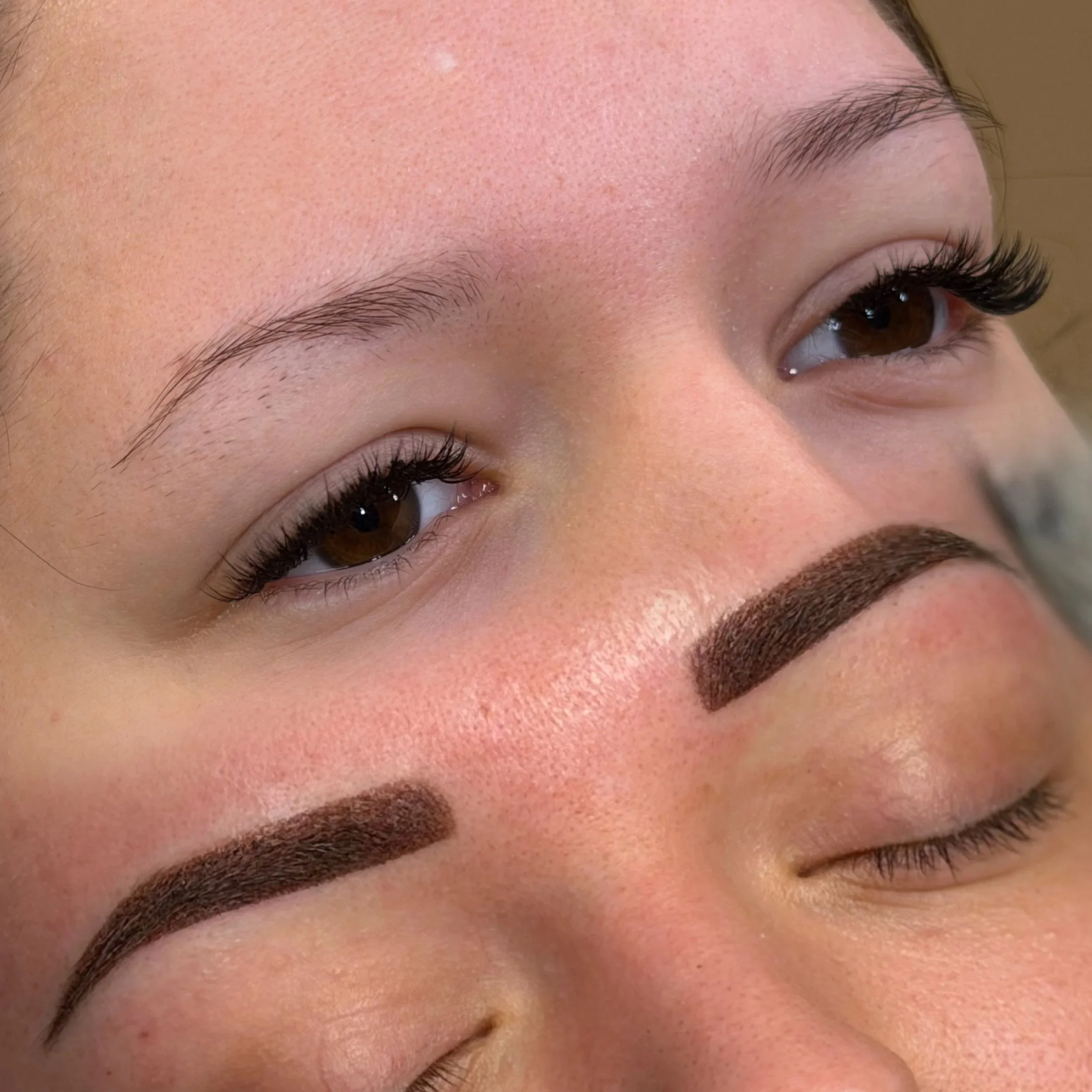 Powderbrows