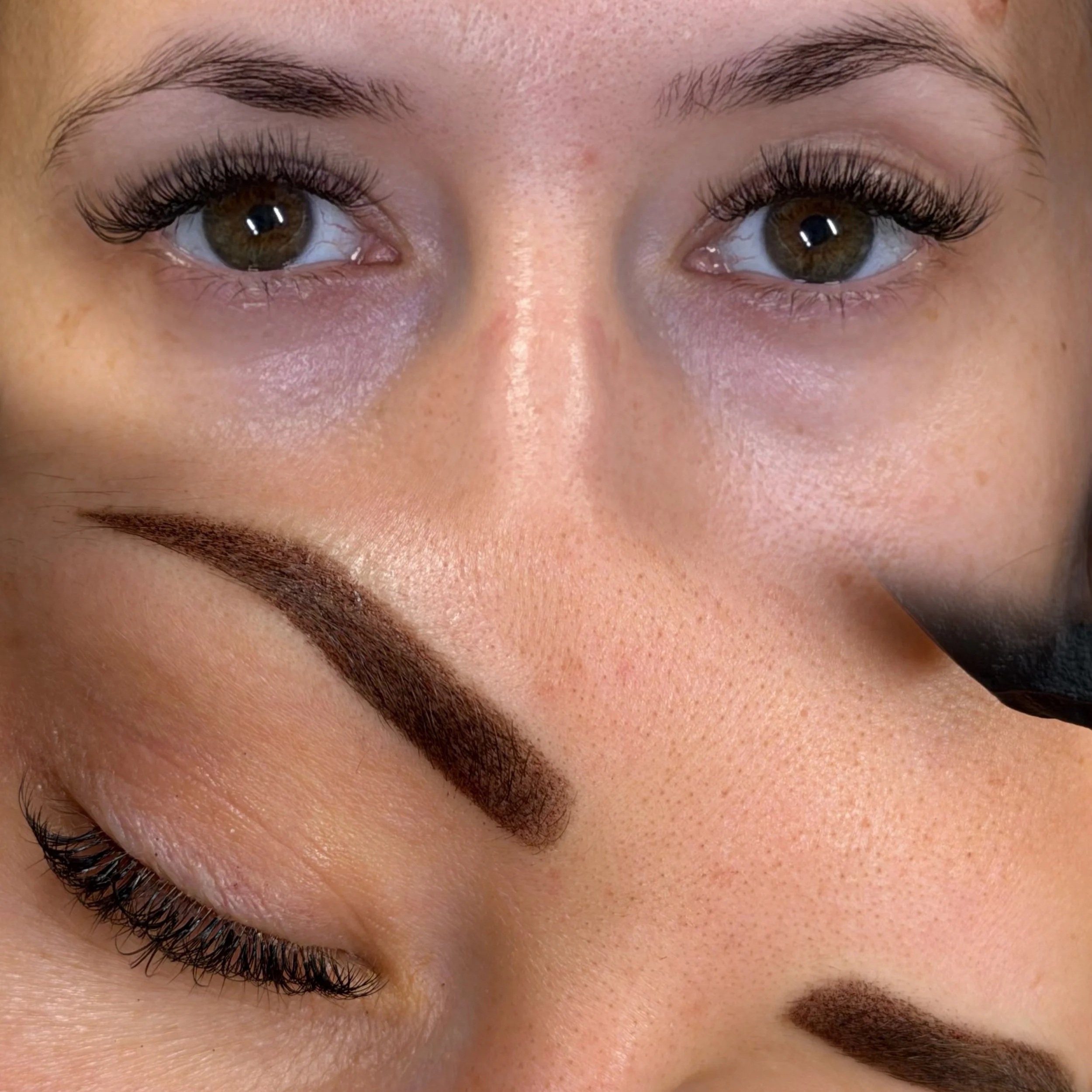 Powderbrows