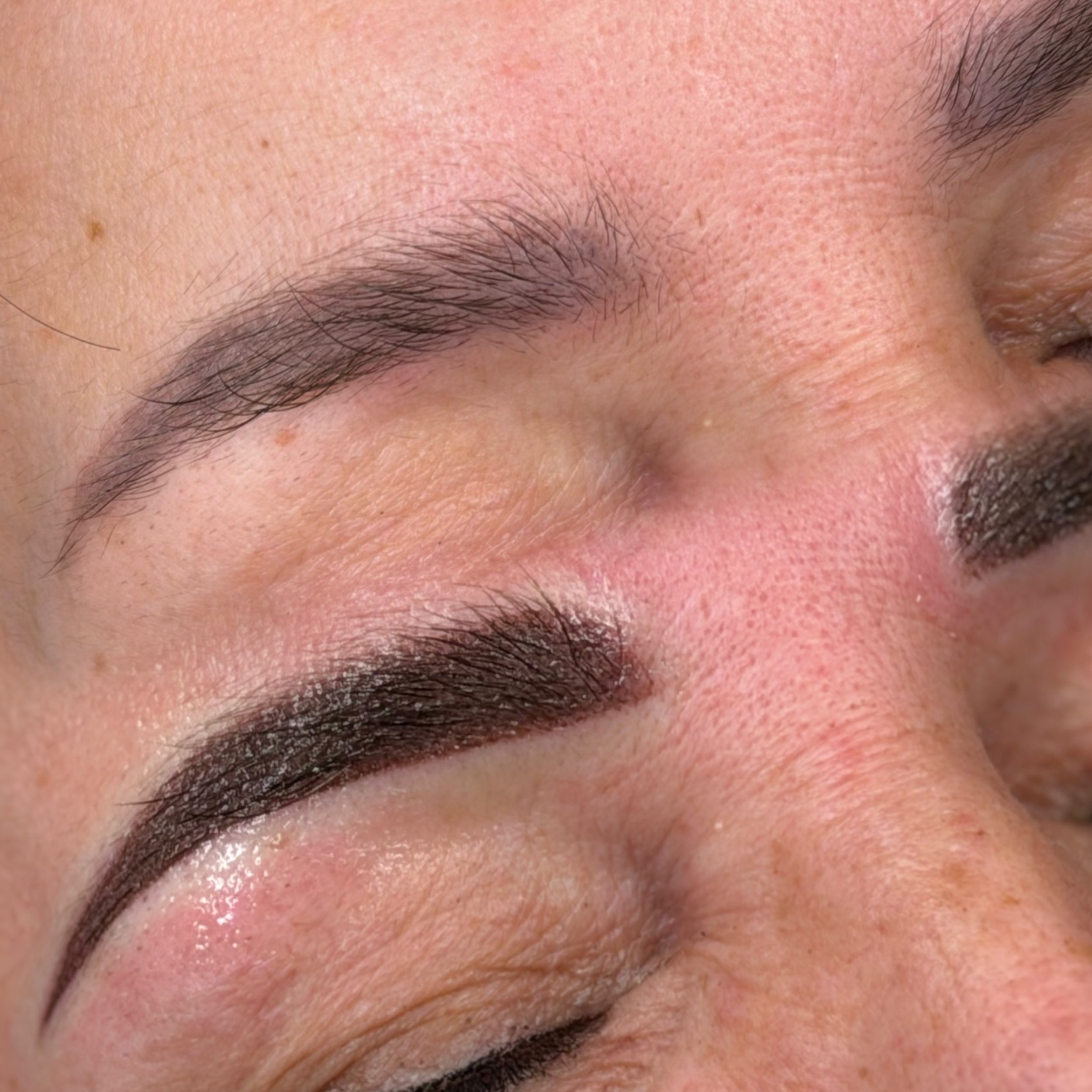 Powderbrows (Auffrischung)