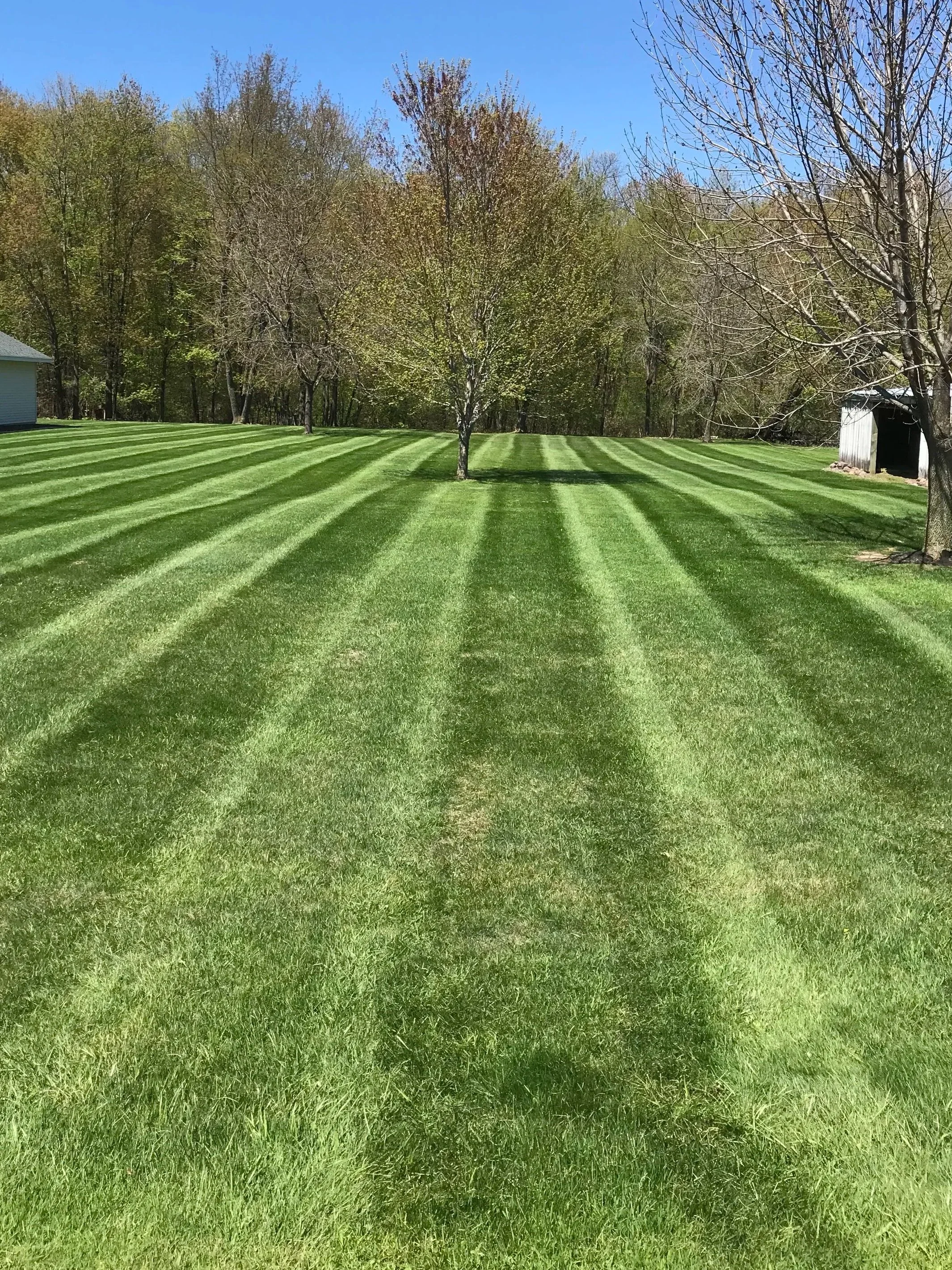 Freshly mowed lawn with alternating stripes