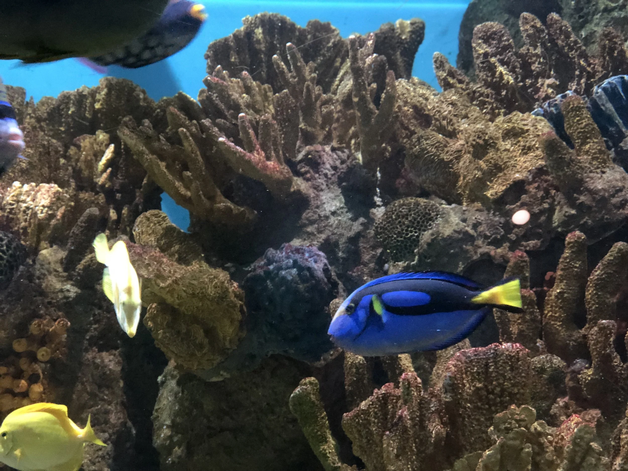 IMG_4873.jpeg