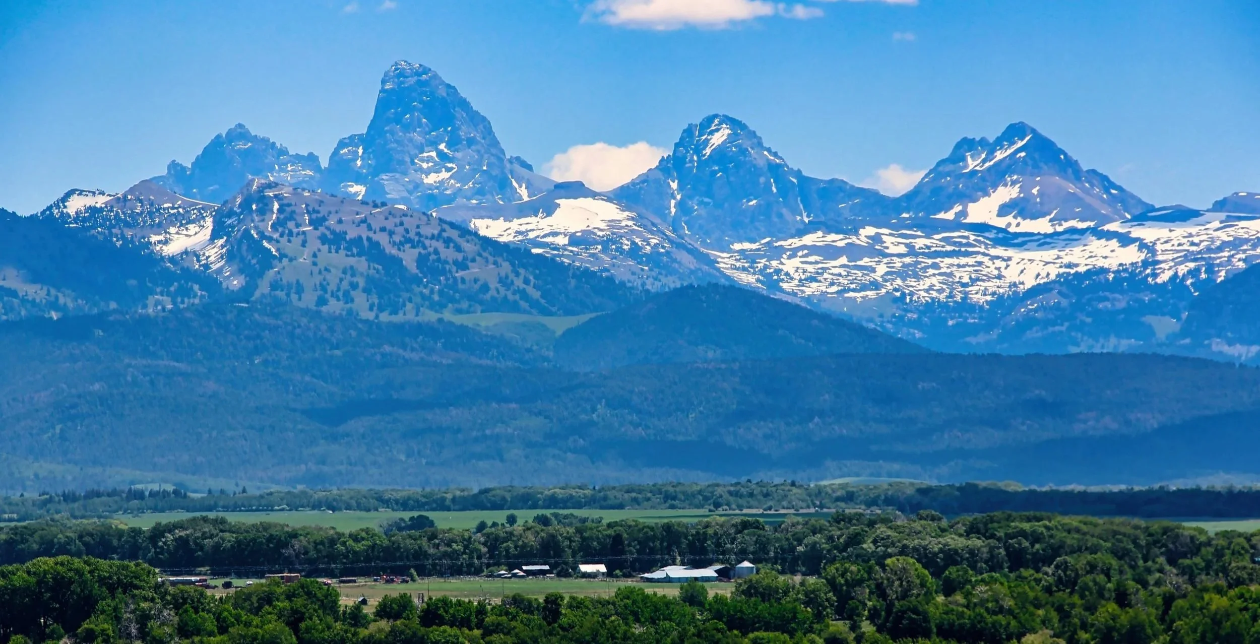 Snow-capped mountain peaks in the distance with lush green forest and farmland in the foreground under a clear blue sky.
