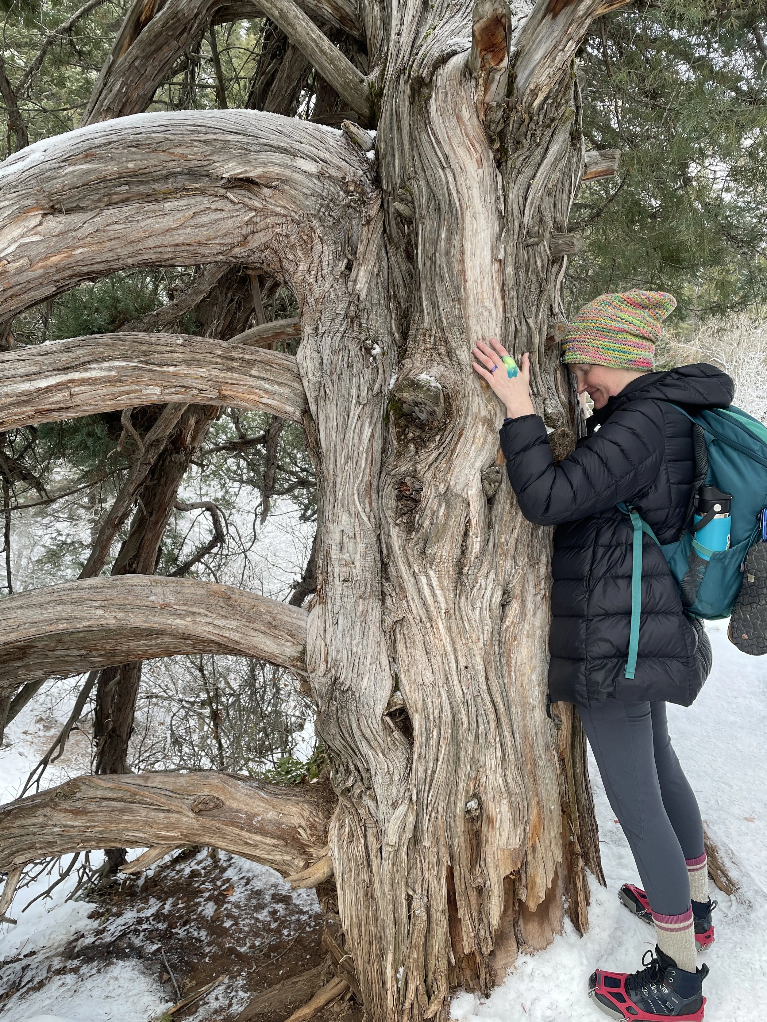A woman wearing a colorful knit hat, black puffy jacket, gray leggings, socks, and hiking shoes hugging an old, large, gnarled tree in a snowy forest.