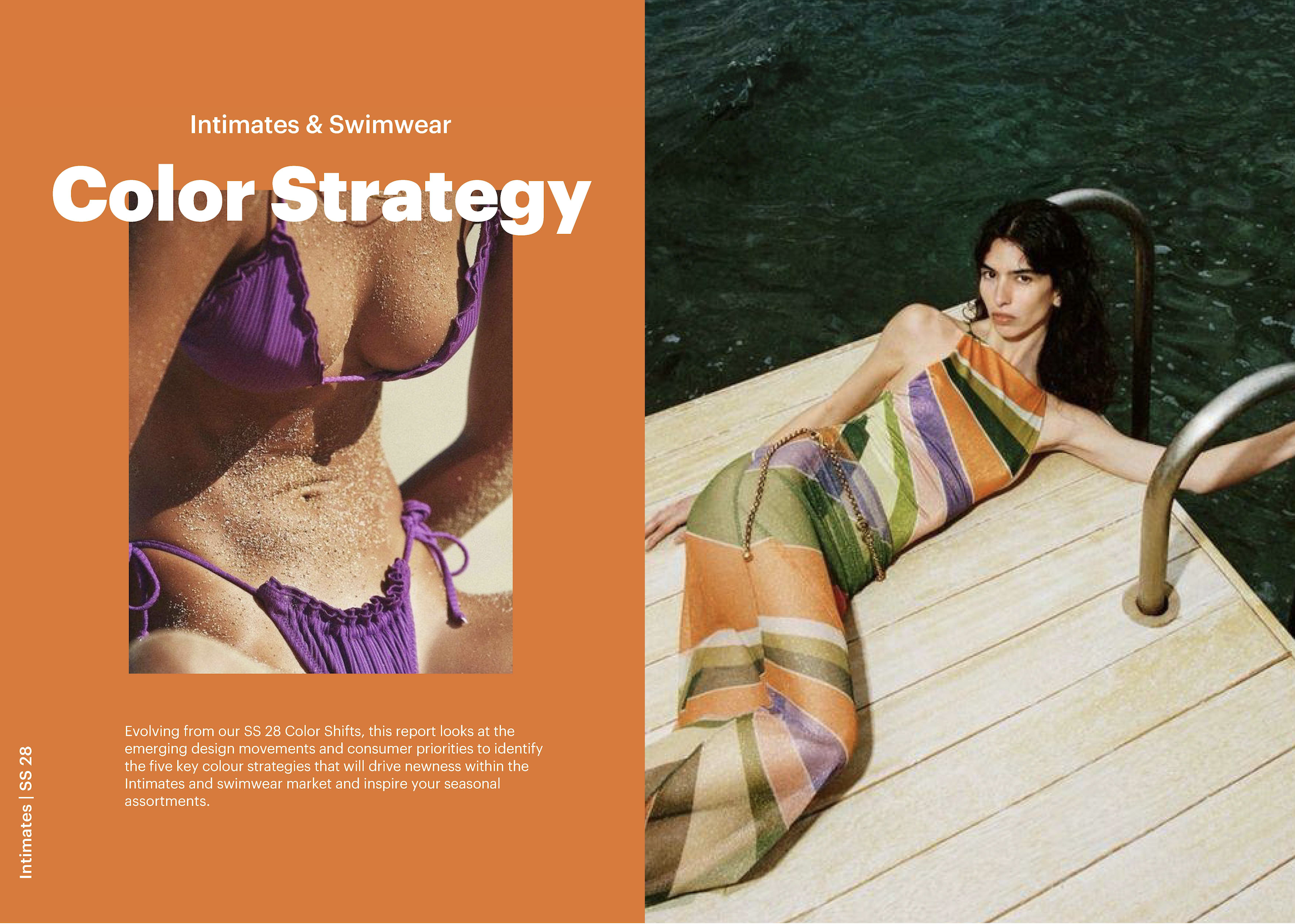 COLOR STRATEGY SS28