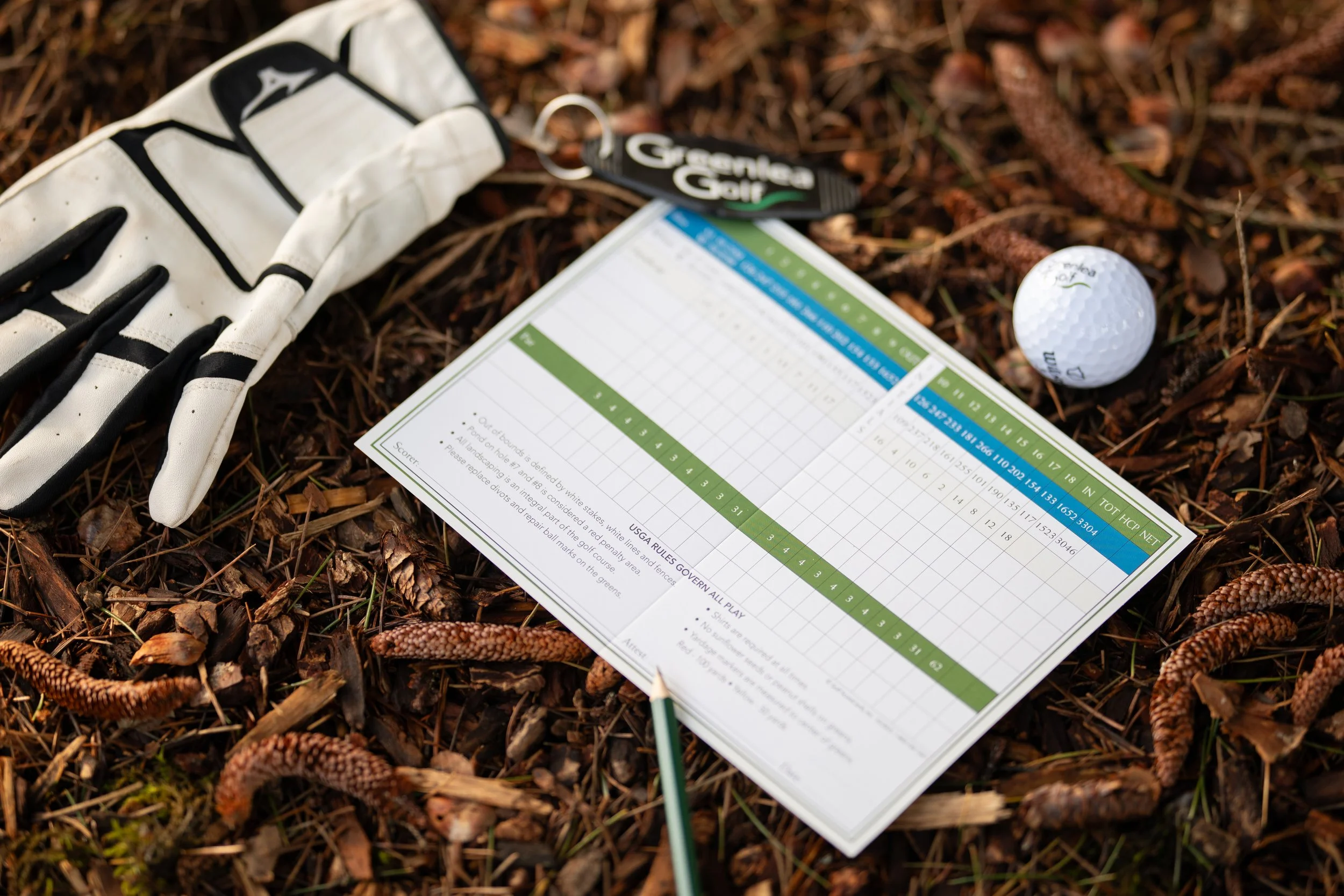 Golf scorecard, golf glove, golf tee, and golf ball on the ground.