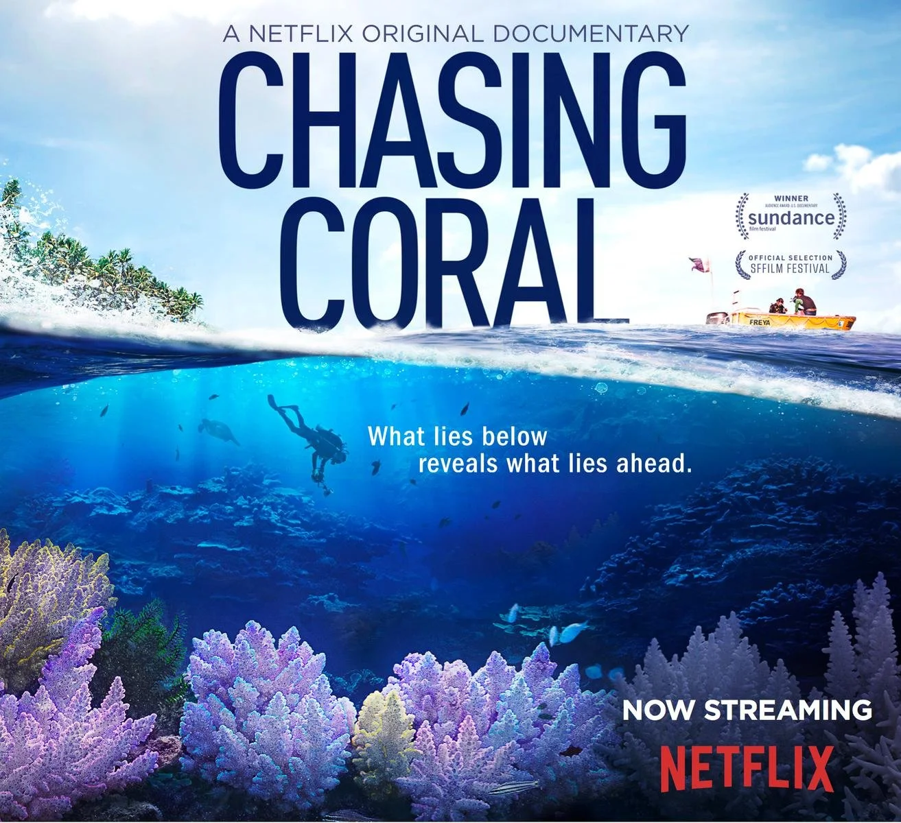 Chasing Coral Image.jpg