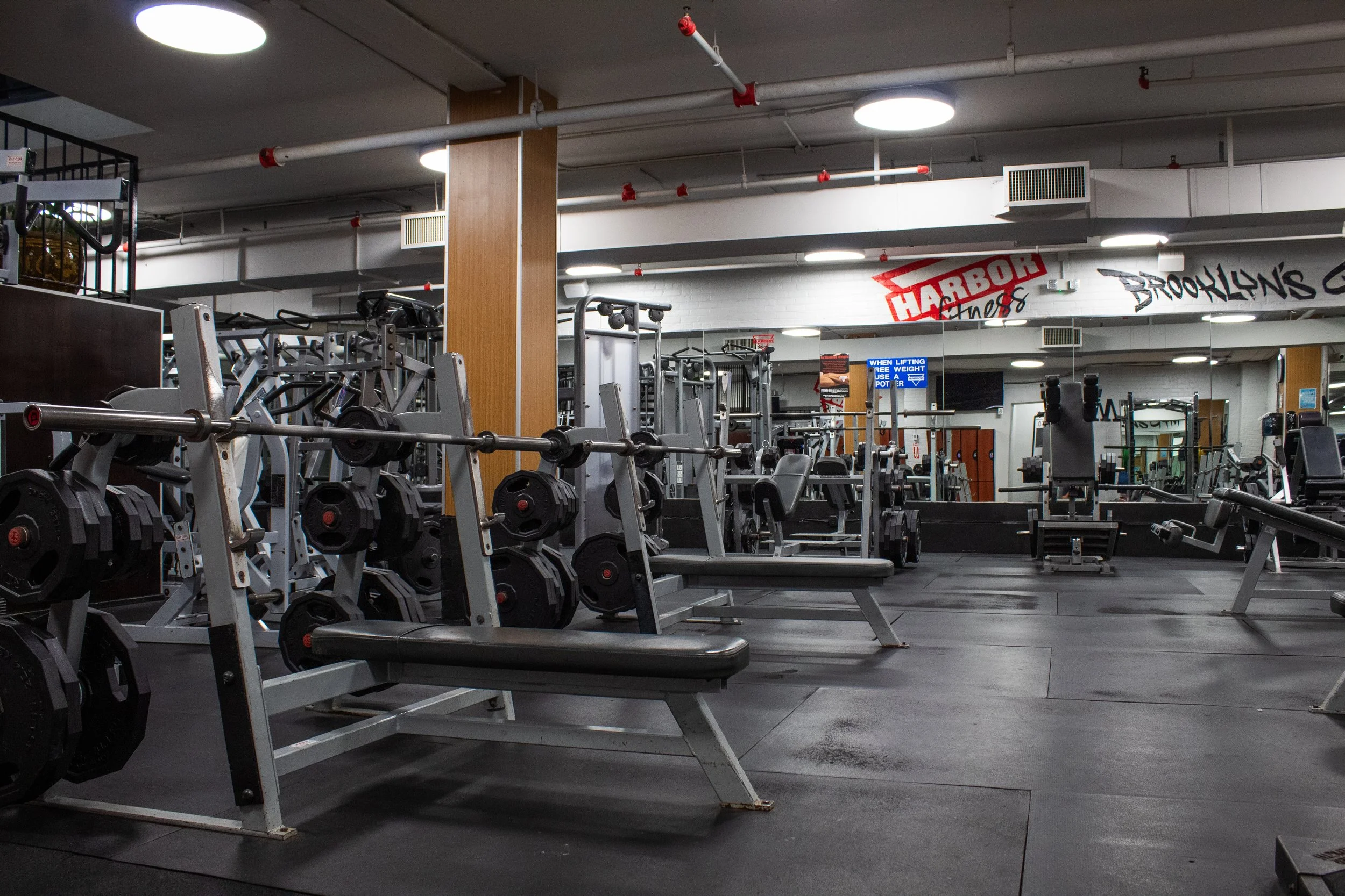 Harbor Fitness Park Slope Olympic Benches