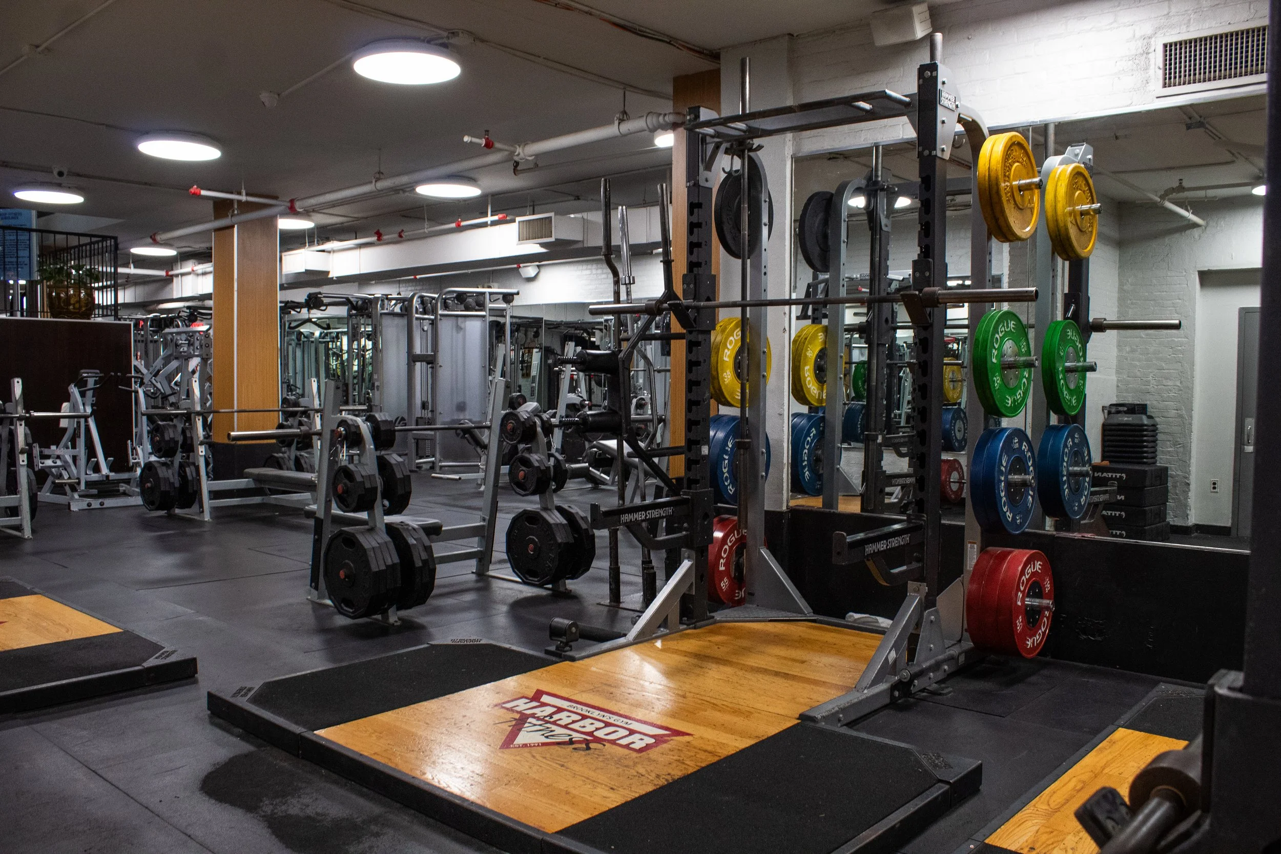 Harbor Fitness Park Slope Power Racks