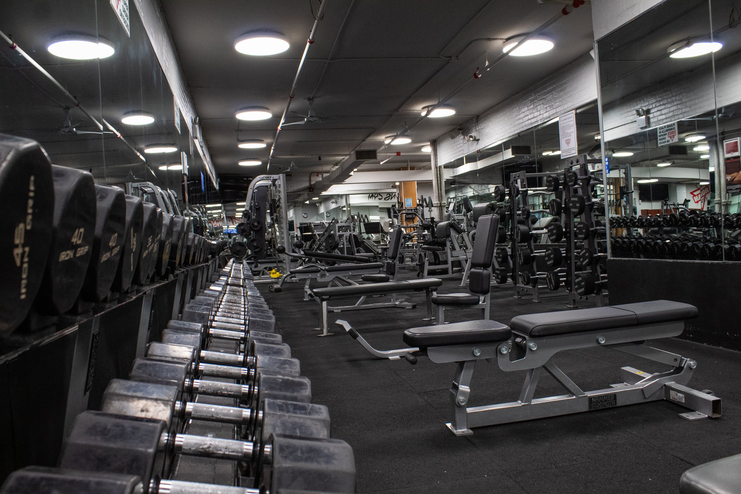 Harbor Fitness Park Slope Dumbbells