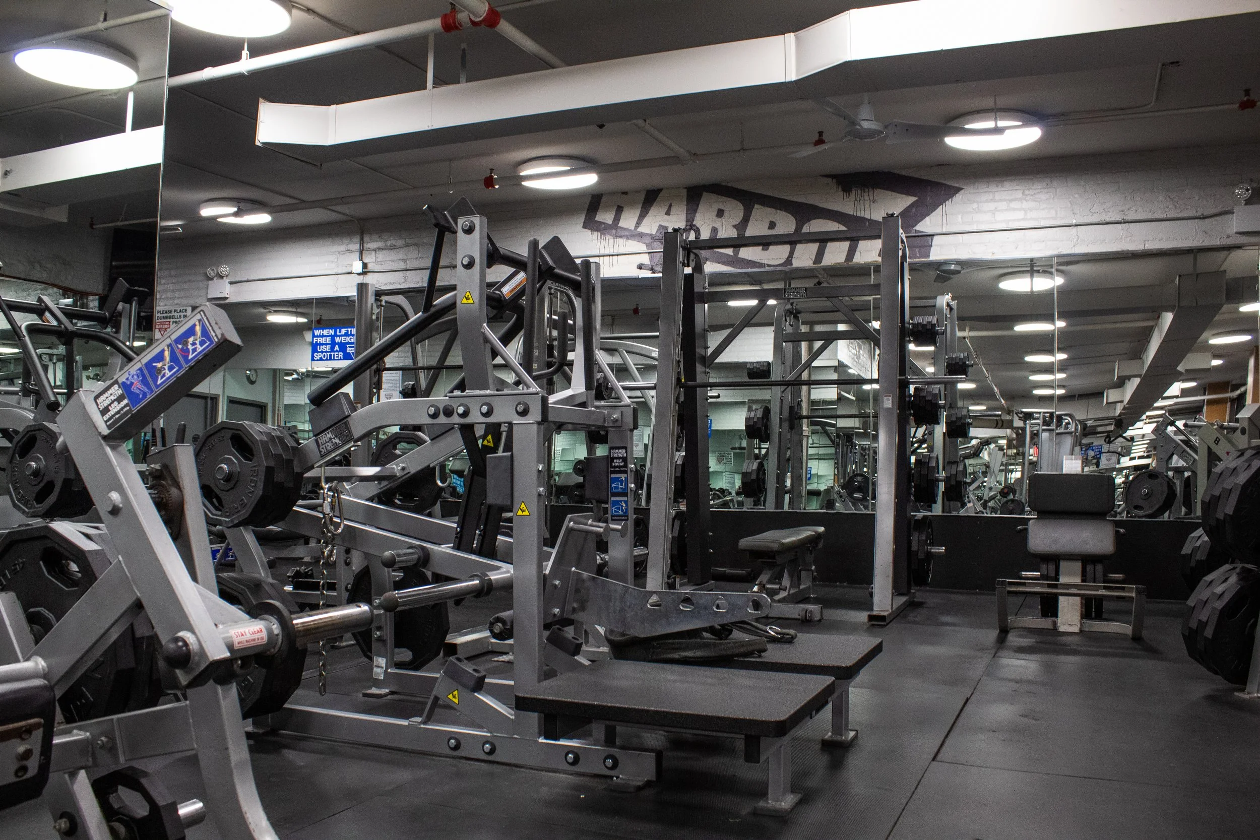 Harbor Fitness Park Slope Belt Squat